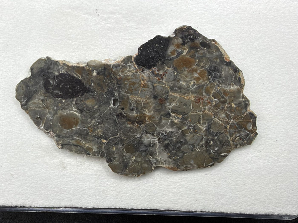 Adrar 013 lunar melt breccia slice, 6.38 g, polished face with two large dark clasts at upper left and top center, tan and gray clasts, and fine white veining, on white background