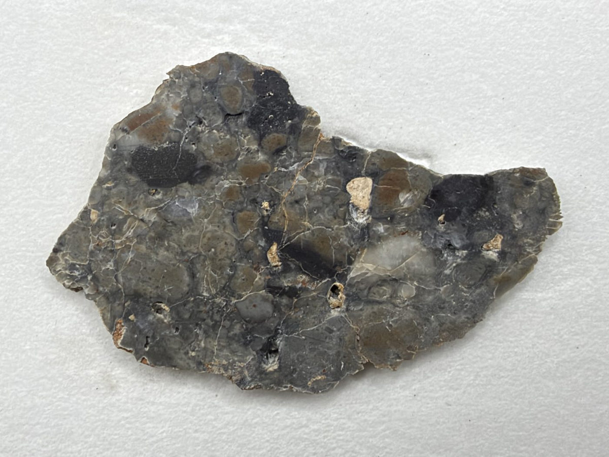 Adrar 013 lunar melt breccia slice, 7.44 g, polished face with several dark clasts, rounded tan and gray clasts, and small light inclusions, on white background