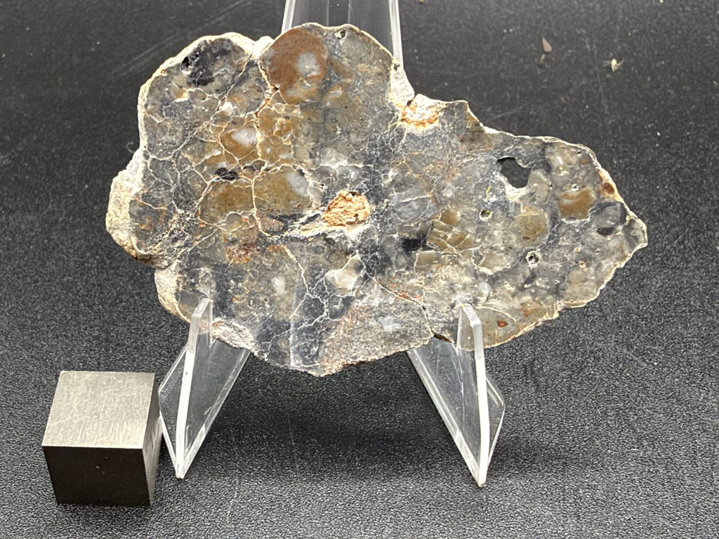 Adrar 013 lunar melt breccia slice, wide polished face with gray and tan clasts and an orange-brown patch near center
