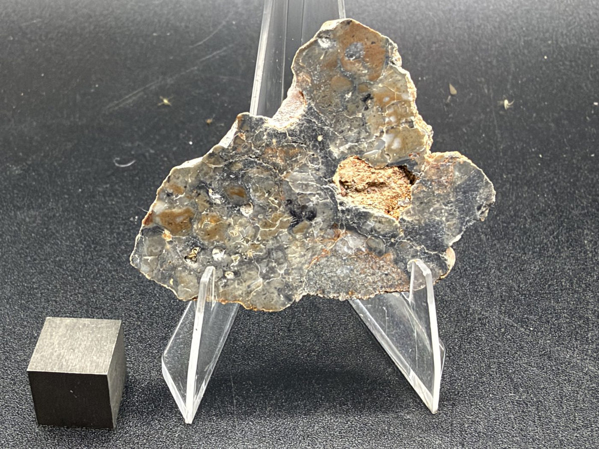 Adrar 013 lunar melt breccia slice, triangular polished face with tan and gray clasts and a rough orange-brown area right of center