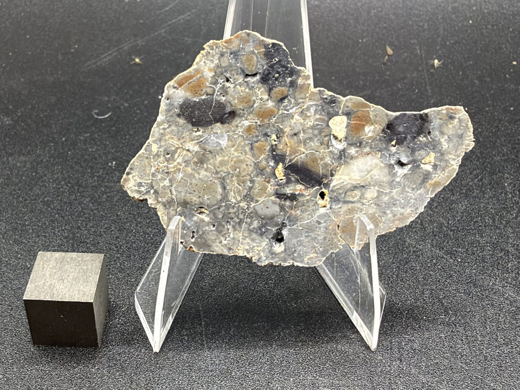 Adrar 013 lunar melt breccia slice with several dark clasts scattered across a light gray and tan matrix