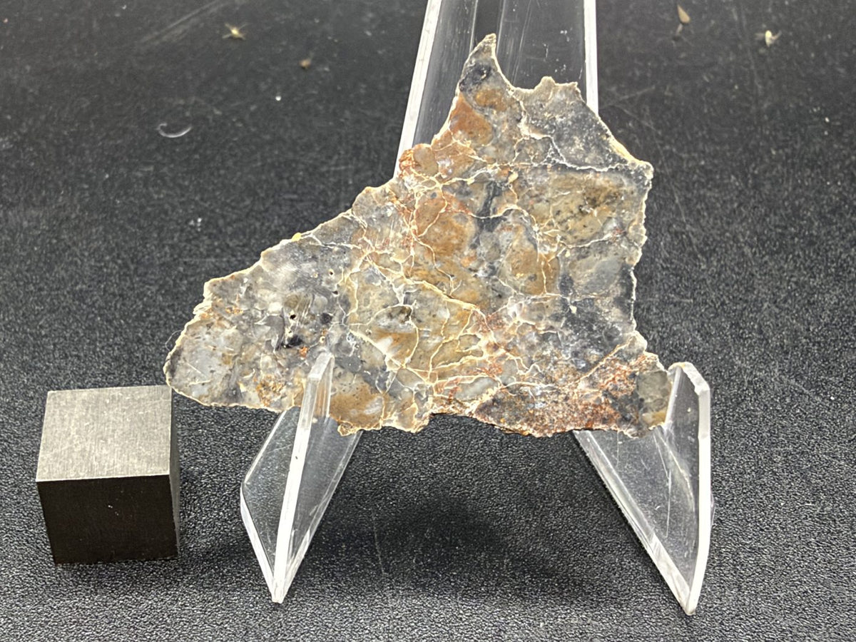 Adrar 013 lunar melt breccia slice, thin triangular face with orange-brown staining along fine veins