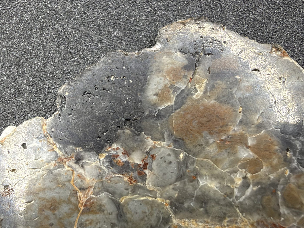 Macro of Adrar 013 lunar melt breccia, dark gray clast with small pits near the slice edge