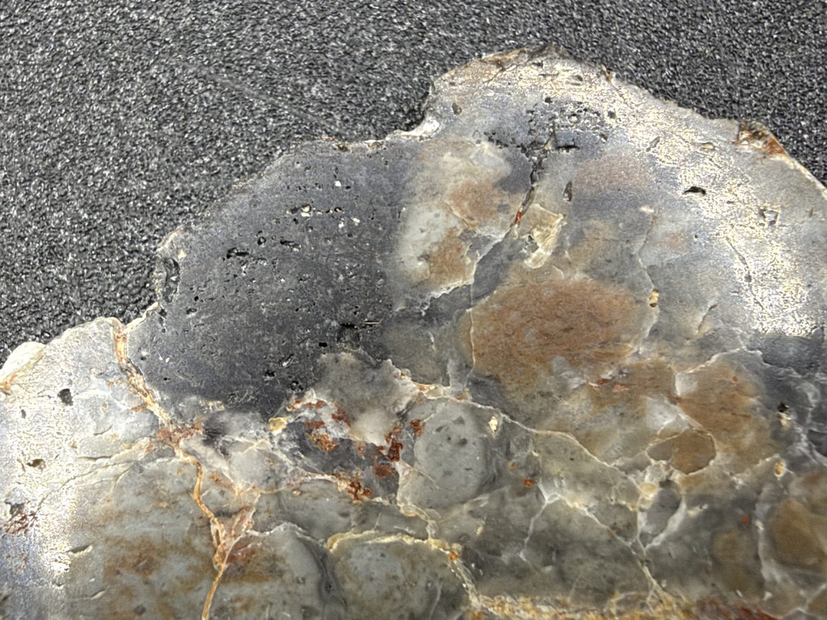 Macro of Adrar 013 lunar melt breccia, dark gray clast with small pits near the slice edge