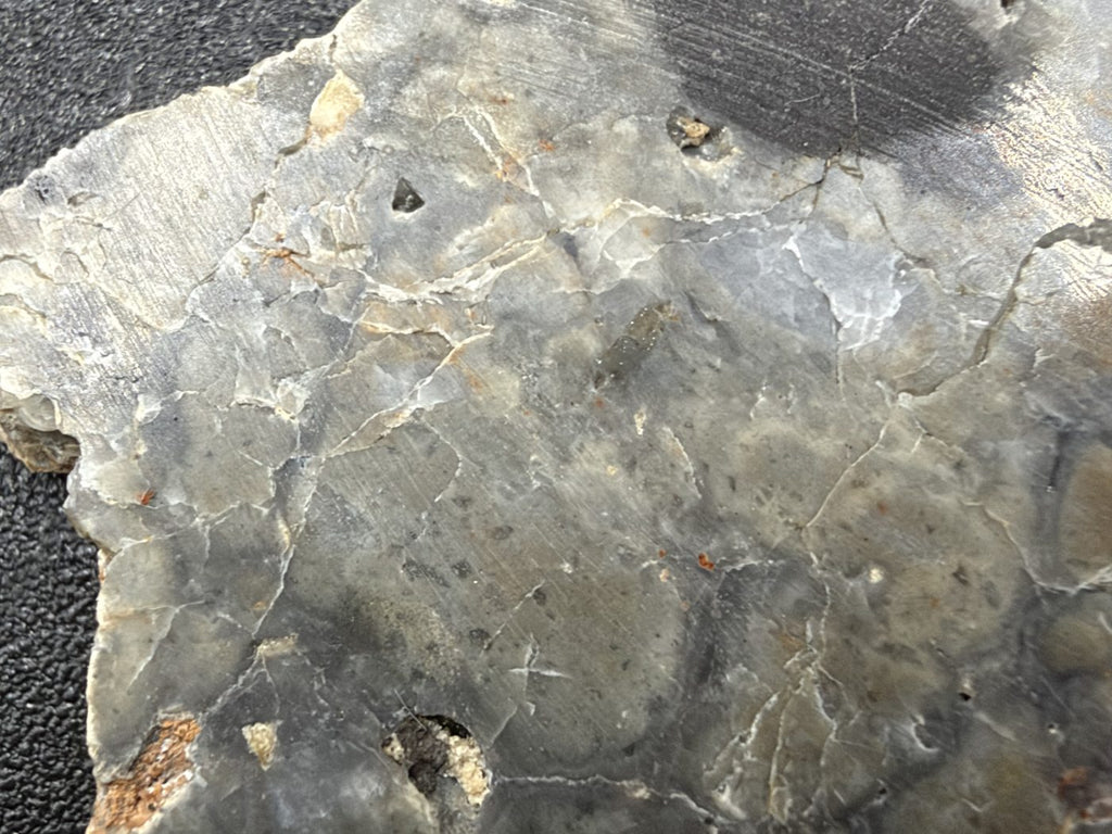 Macro of Adrar 013 lunar melt breccia, gray matrix with fine white veins and small dark grains