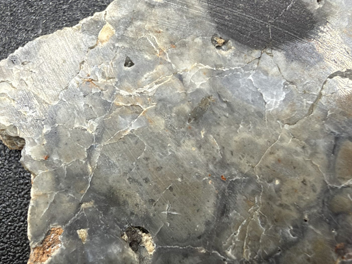 Macro of Adrar 013 lunar melt breccia, gray matrix with fine white veins and small dark grains