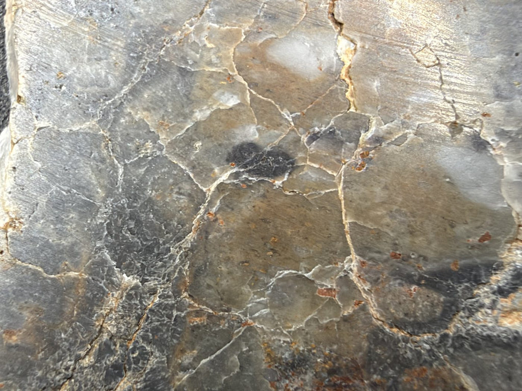 Macro of Adrar 013 lunar melt breccia, network of white veins outlining tan and gray clasts around a small dark clast