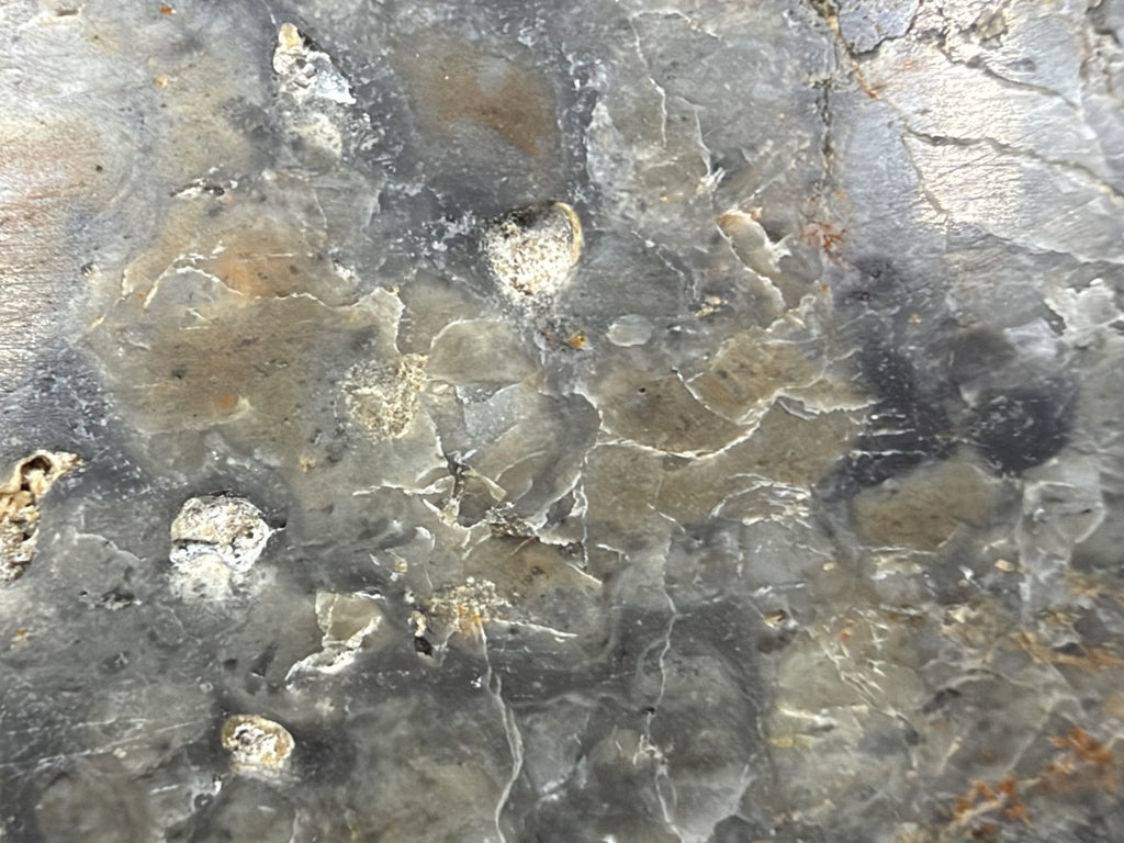 Macro of Adrar 013 lunar melt breccia, light-colored granular inclusions set in gray and tan matrix