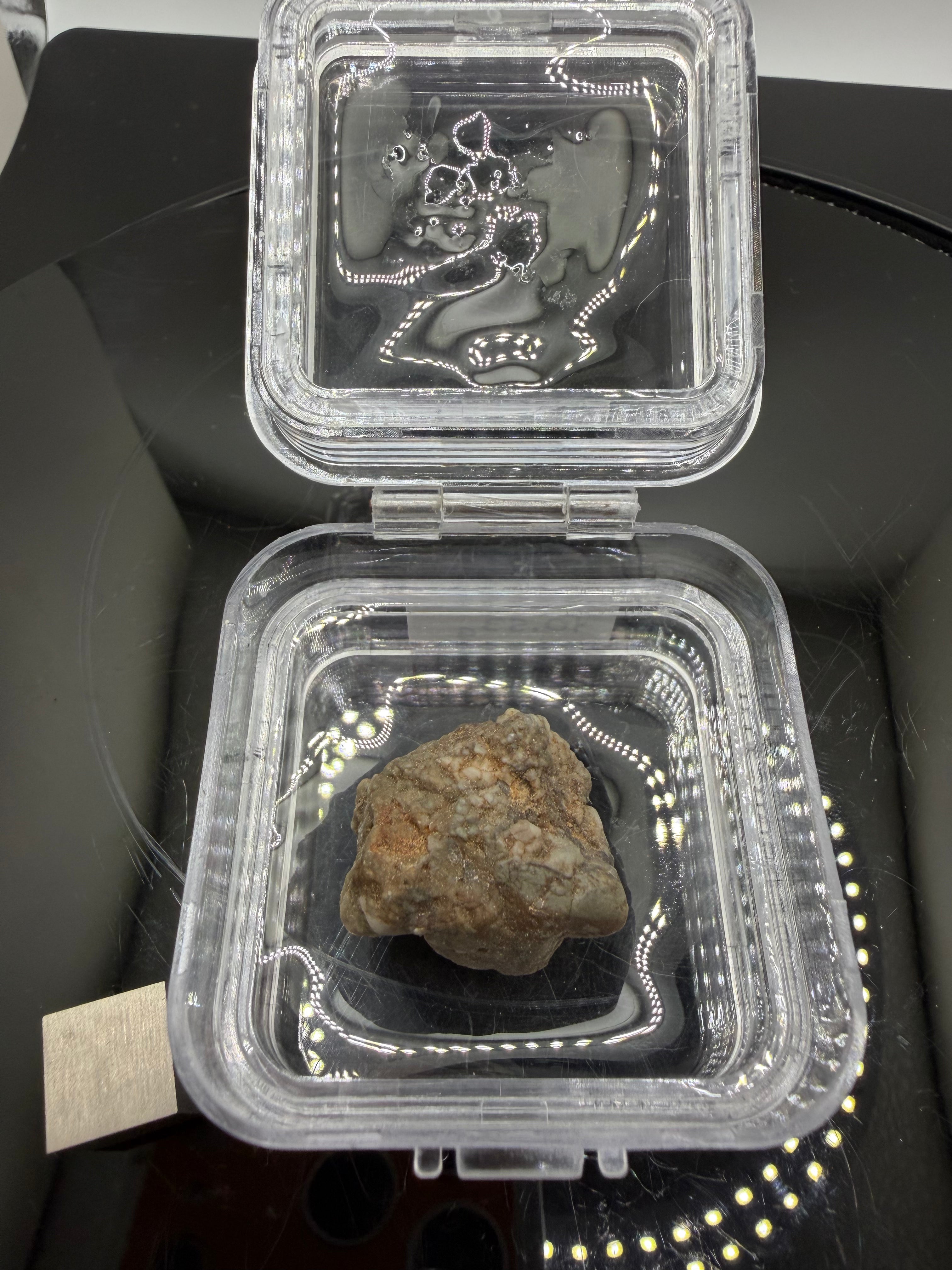 Adrar 013 Moon rock 10.53g in open display case showing anorthositic norite clasts suspended in recrystallized impact melt matrix