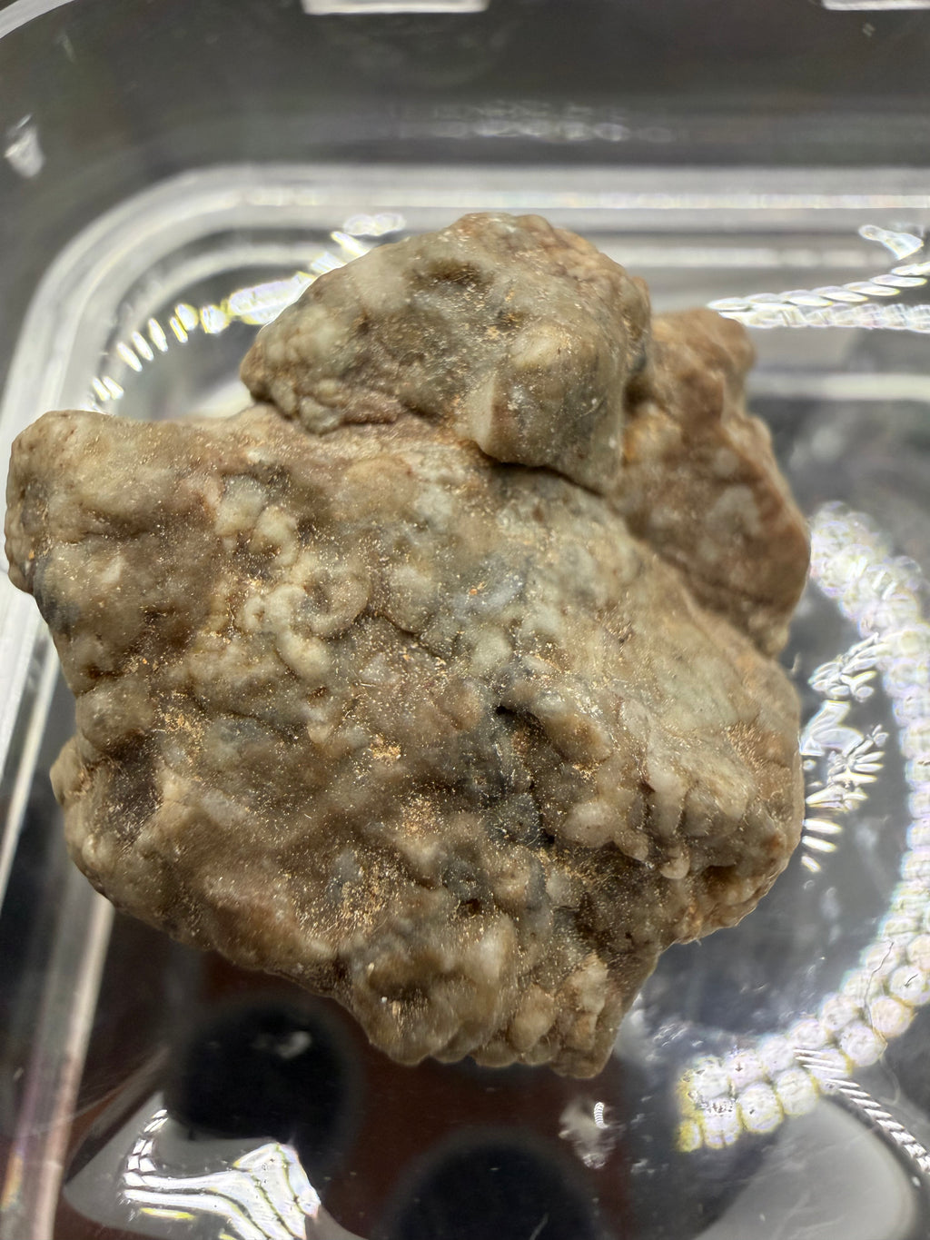 Adrar 013 lunar meteorite 10.53g showing flow banded melt matrix wrapping around high relief mineral clasts on natural surface