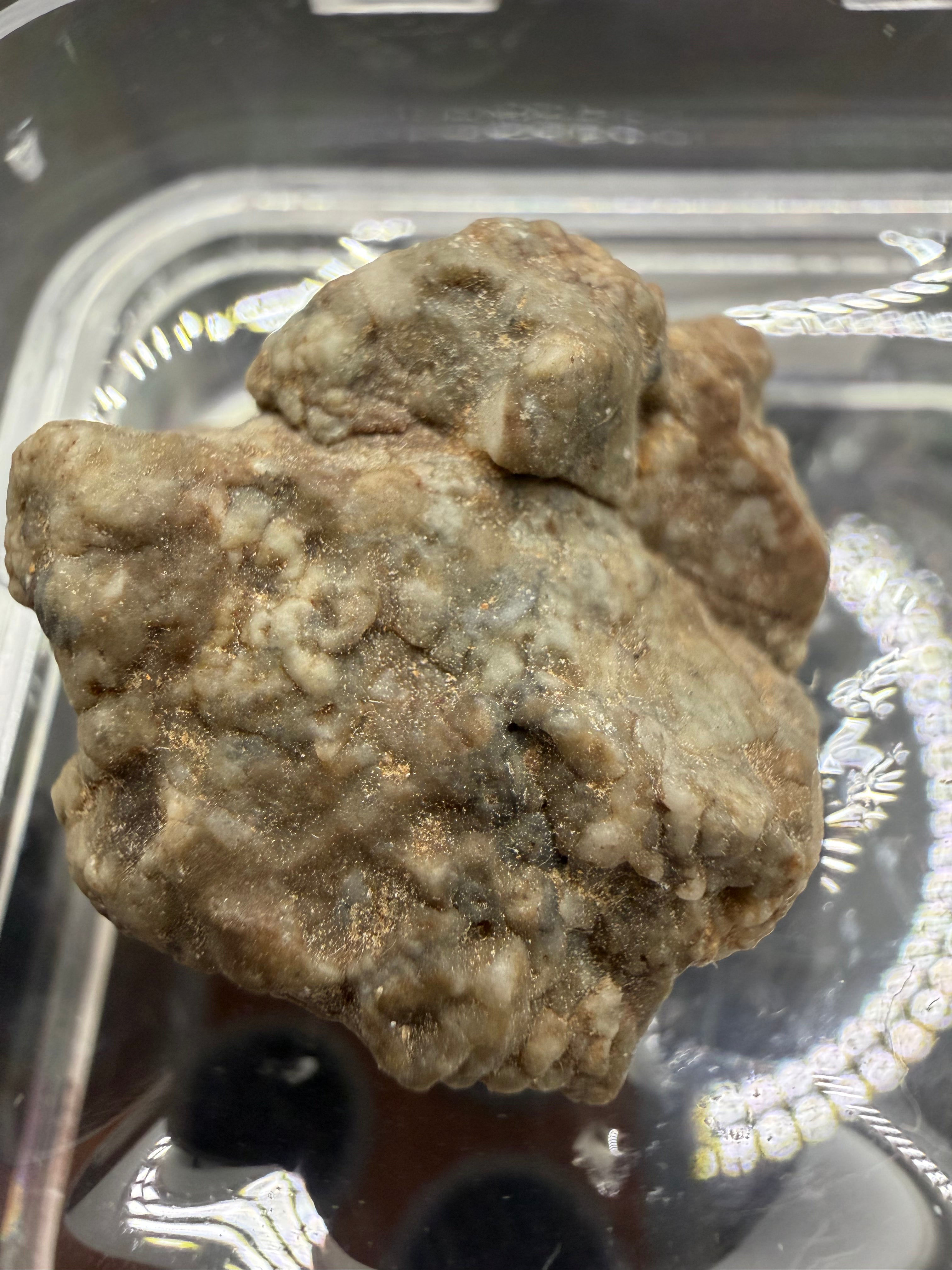 Adrar 013 lunar meteorite 10.53g showing flow banded melt matrix wrapping around high relief mineral clasts on natural surface