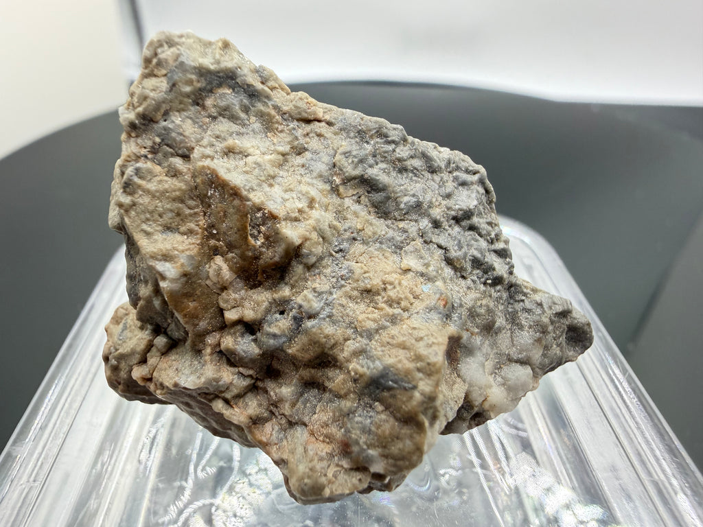 Adrar 013 melt breccia 14.76g close up showing directional flow structures in recrystallized lunar impact melt