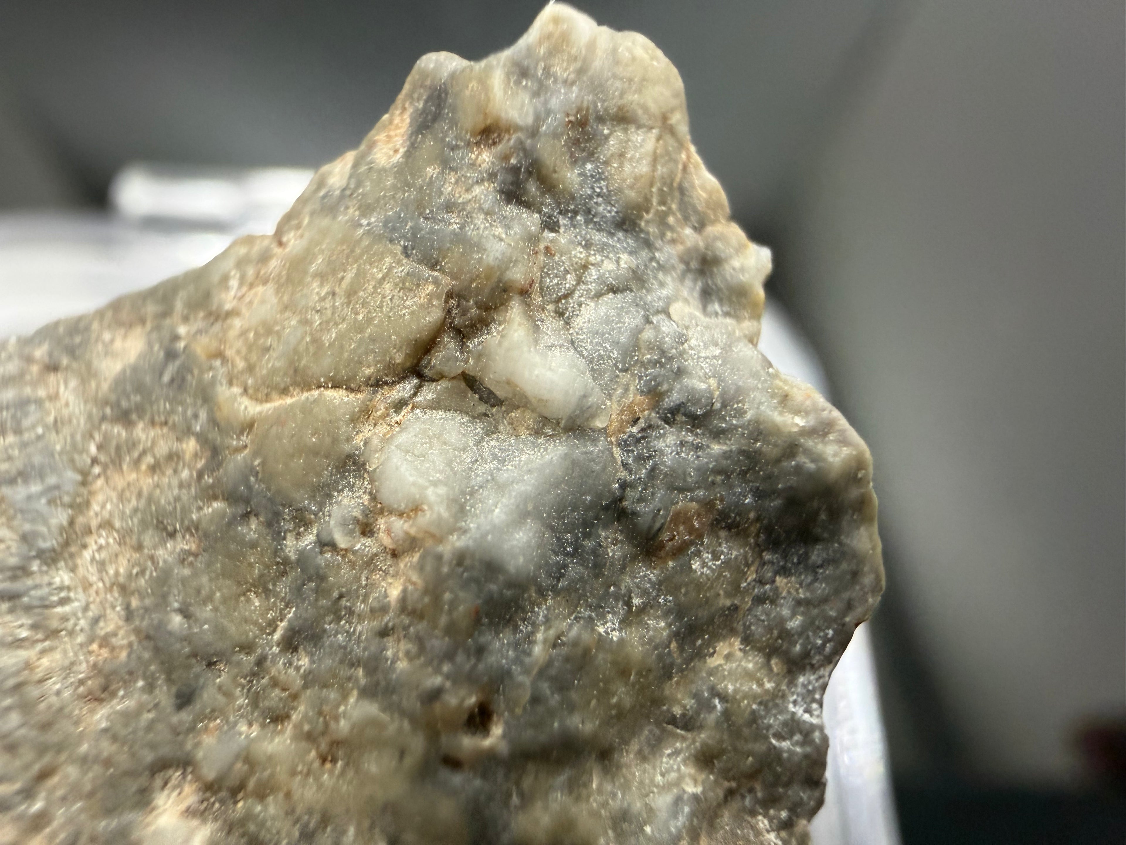 Adrar 013 Moon rock 14.76g macro view showing topographic relief from differential weathering of melt and clasts