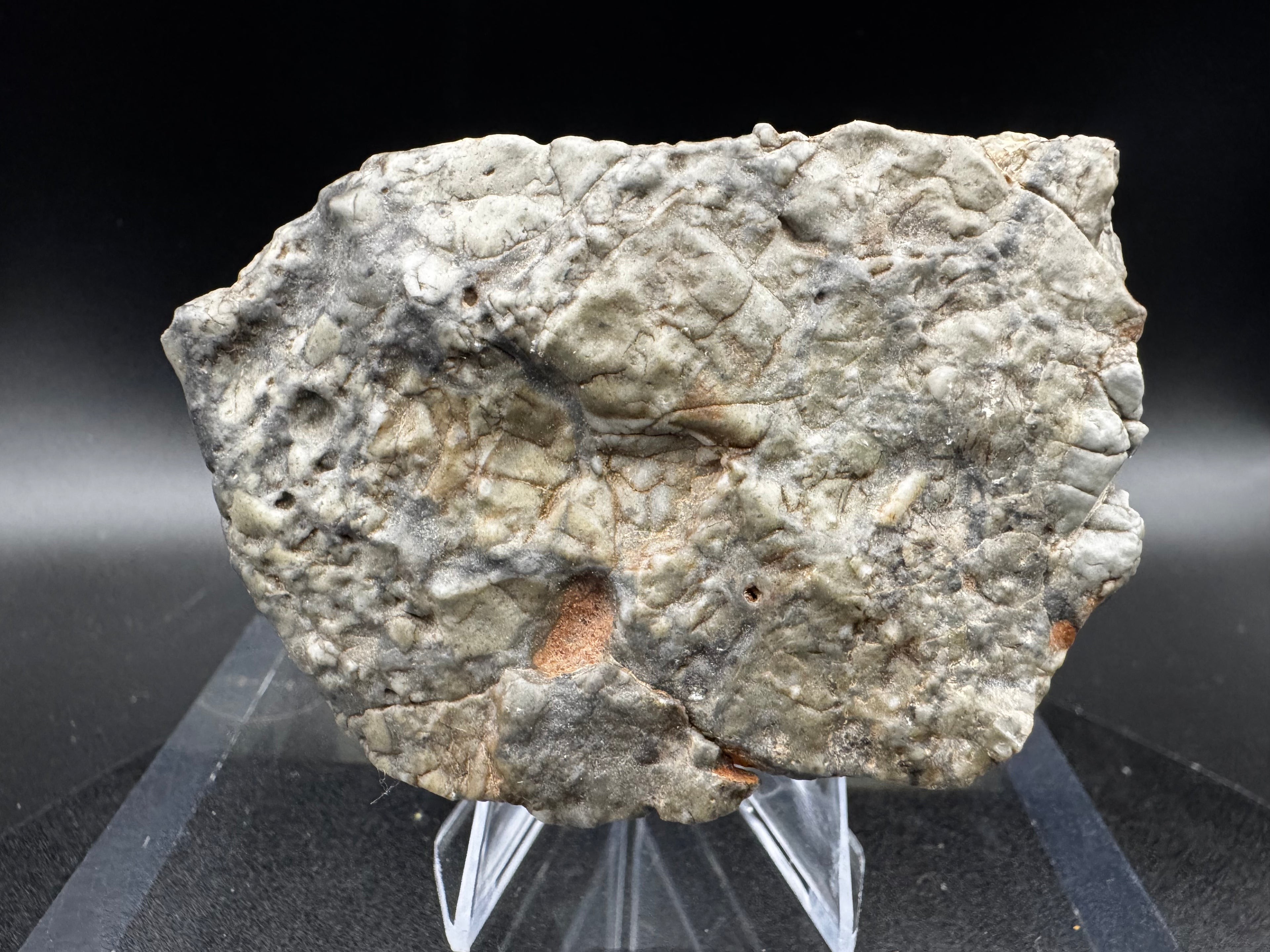 Adrar 013 lunar meteorite 142.20g showing high relief anorthositic norite and gabbro clasts in dark melt matrix