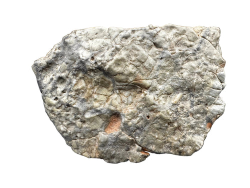 Adrar 013 lunar meteorite 142.20g showing high relief anorthositic norite and gabbro clasts in dark melt matrix