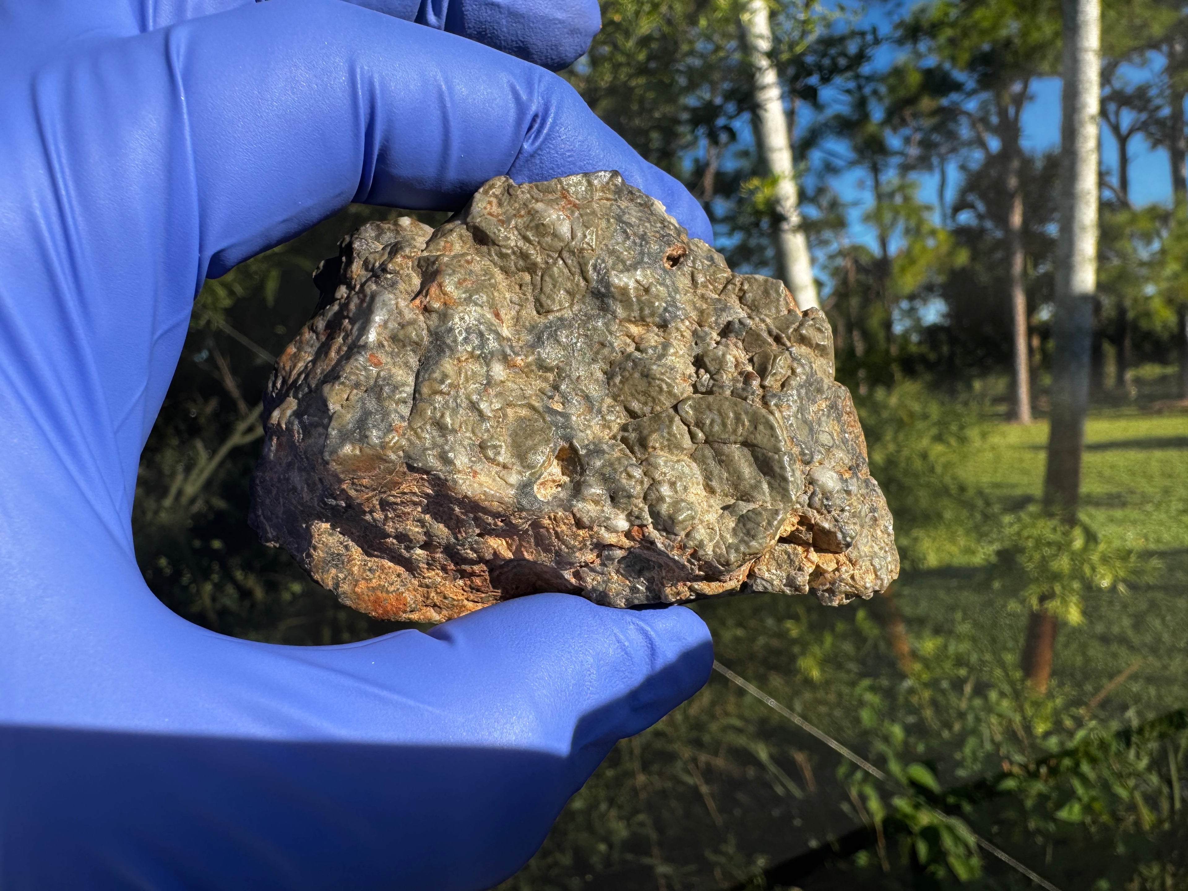 Adrar 013 lunar meteorite 142.20g held in gloved hand showing fusion crust remnants and regmaglypts from atmospheric entry