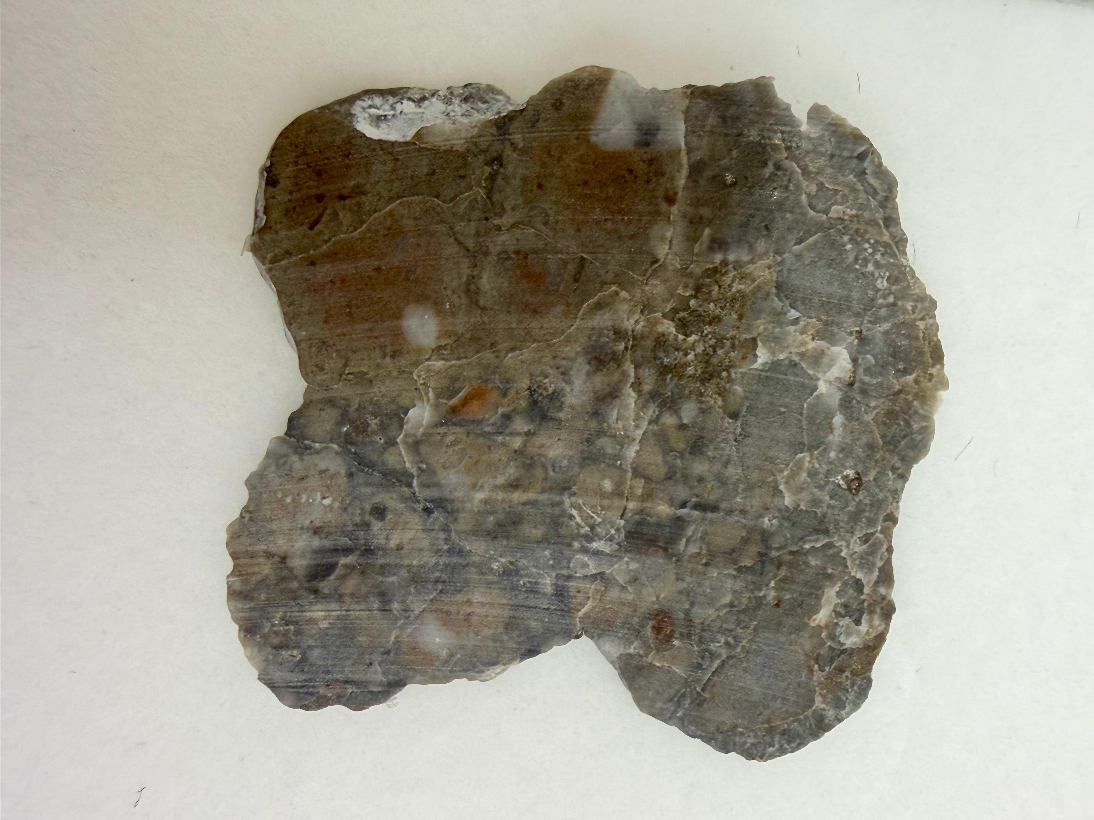 Adrar 013 lunar meteorite 2.67g slice, opposite polished face showing complete edge-to-edge cross-section with clast distribution