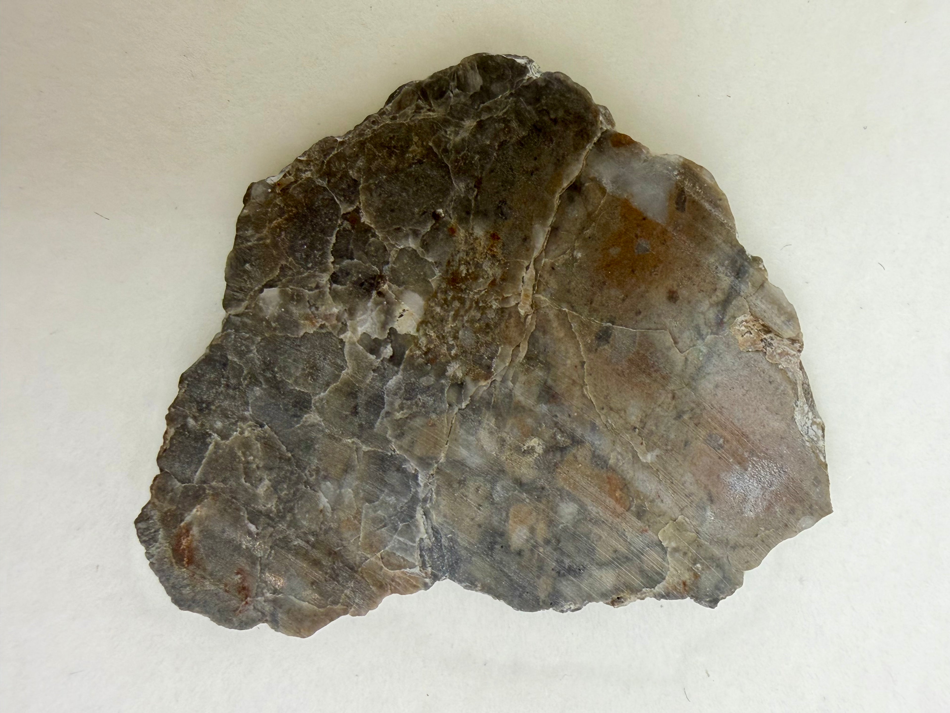 Adrar 013 lunar meteorite 2.77g full slice, polished face showing anorthositic melt breccia matrix with light clasts