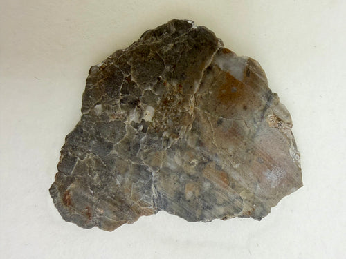 Adrar 013 lunar meteorite 2.77g full slice, polished face showing anorthositic melt breccia matrix with light clasts