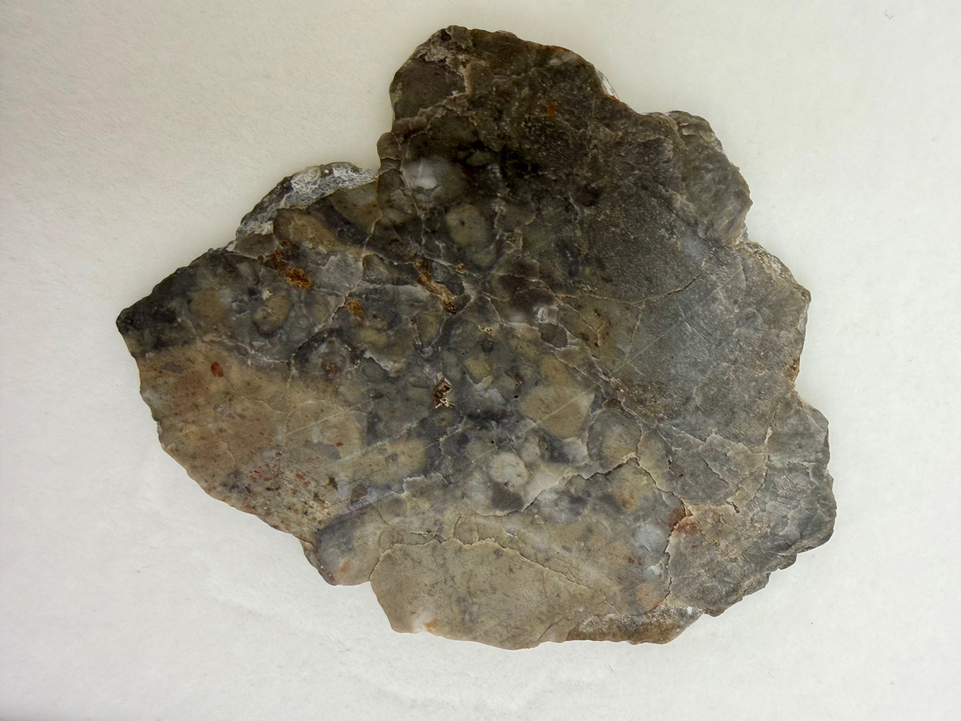Adrar 013 lunar meteorite 2.81g full slice, opposite polished face with weathered exterior detail