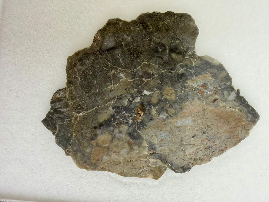Adrar 013 lunar meteorite 2.81g full slice, polished face showing anorthositic melt breccia matrix with light clasts