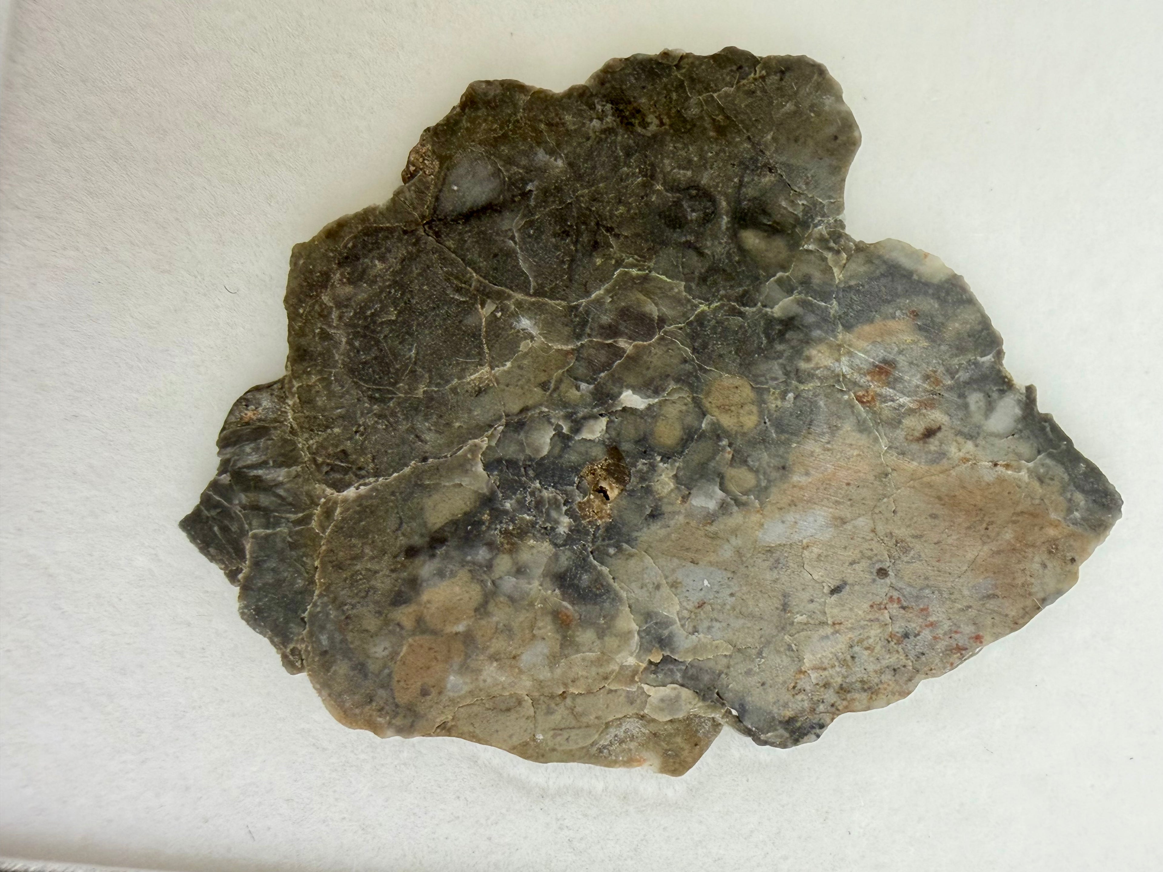 Adrar 013 lunar meteorite 2.81g full slice, polished face showing anorthositic melt breccia matrix with light clasts