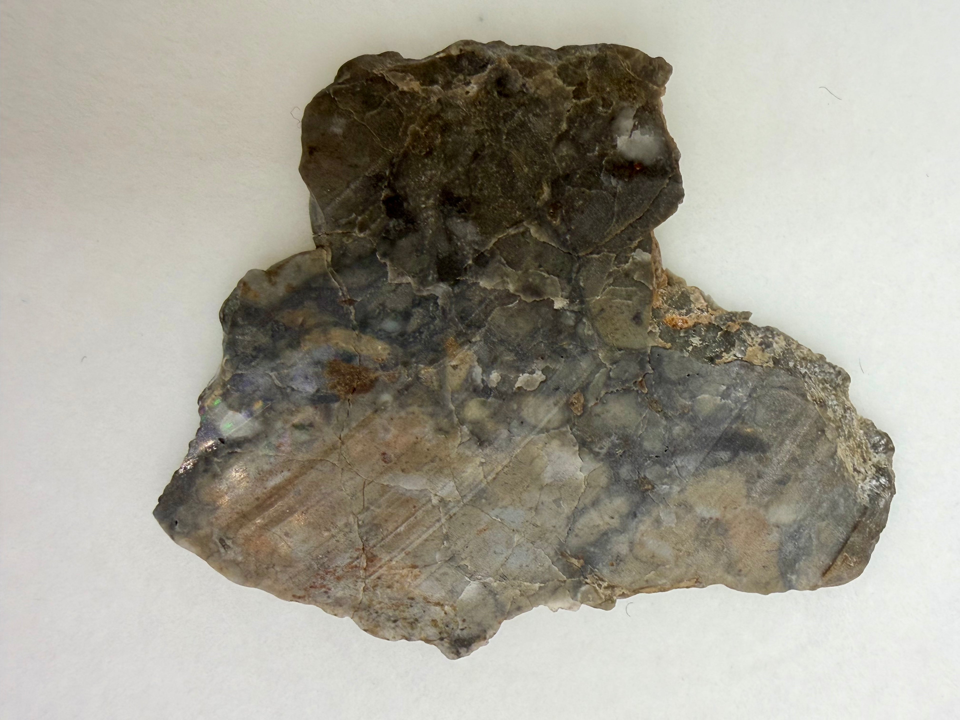 Adrar 013 lunar meteorite 3.36g full slice, opposite polished face with weathered exterior detail