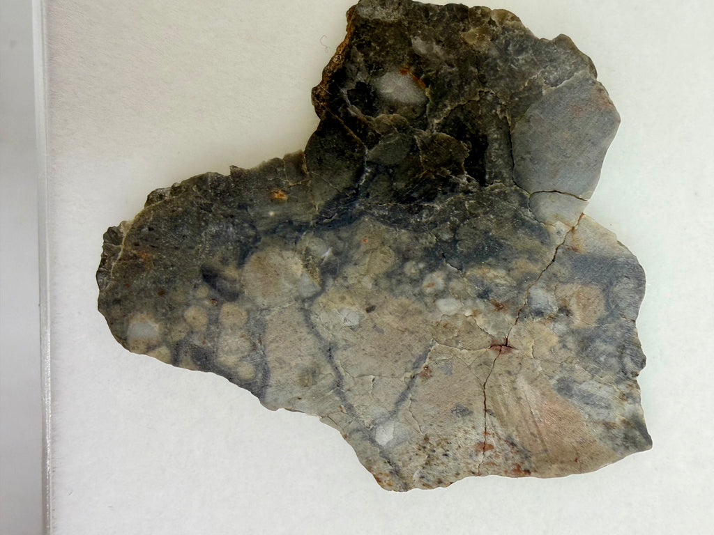 Adrar 013 lunar meteorite 3.36g full slice, polished face showing anorthositic melt breccia matrix with light clasts