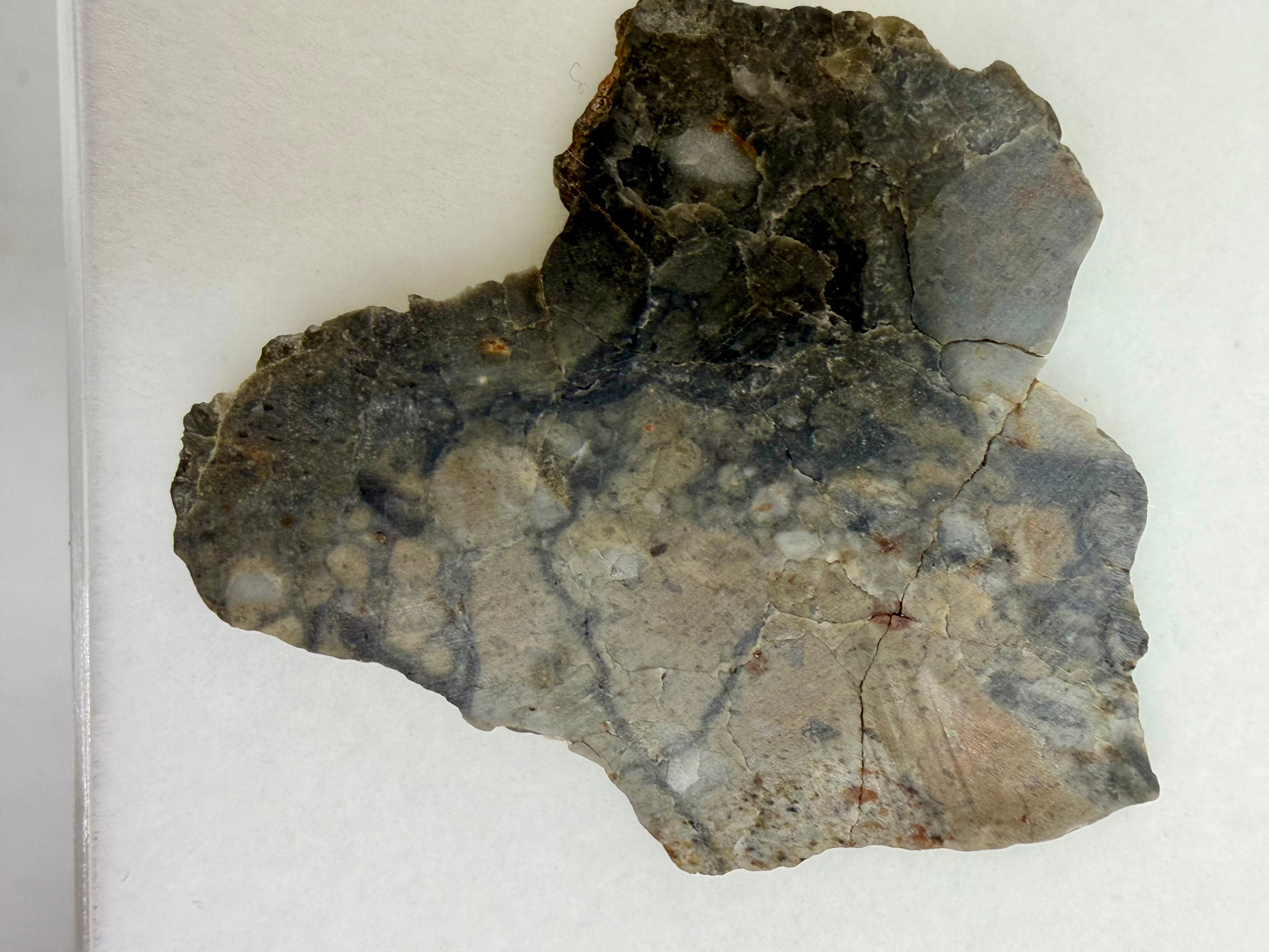 Adrar 013 lunar meteorite 3.36g full slice, polished face showing anorthositic melt breccia matrix with light clasts