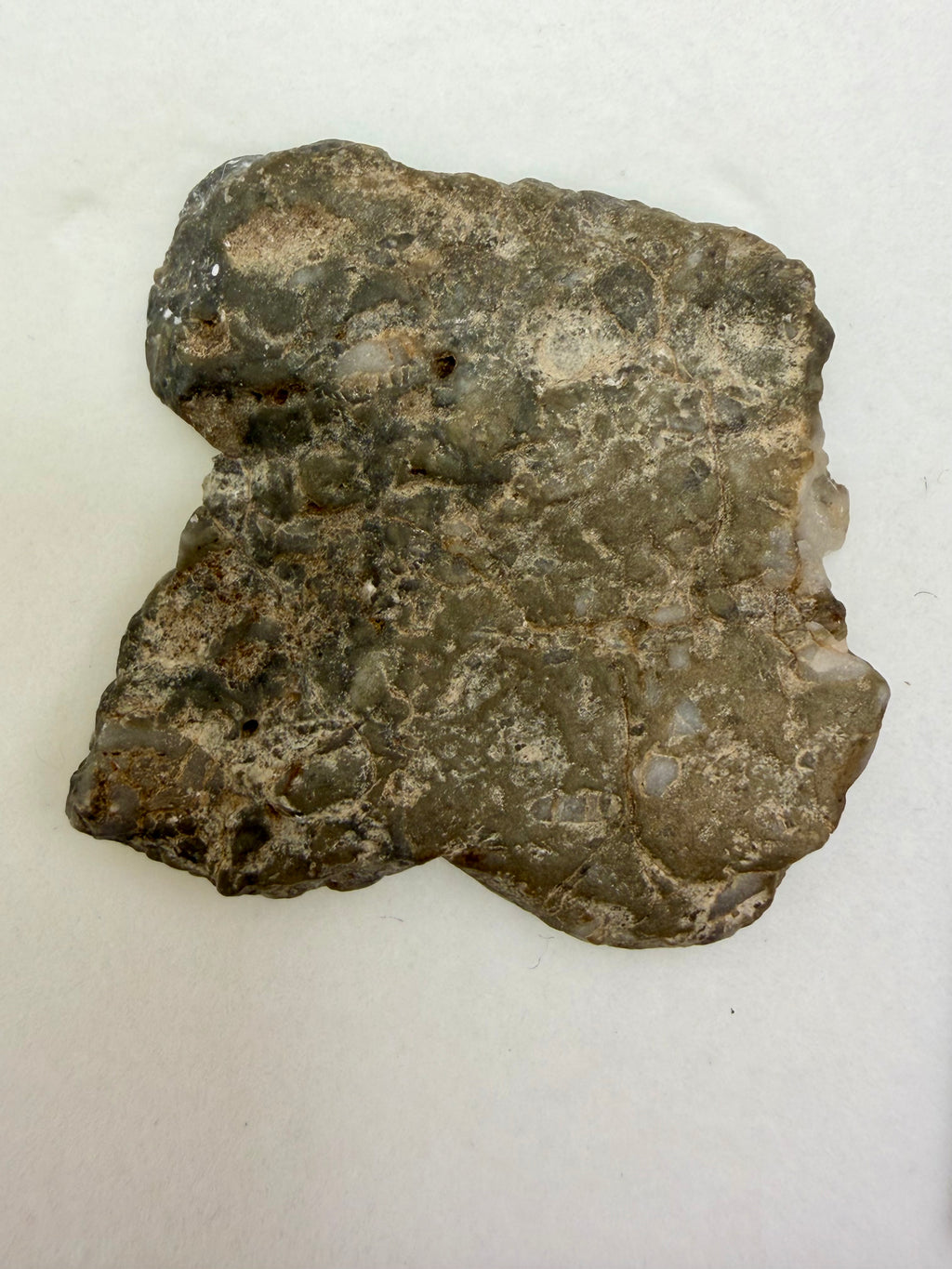 Adrar 013 lunar meteorite 4.29g end cut, natural unpolished exterior face preserving weathered desert surface