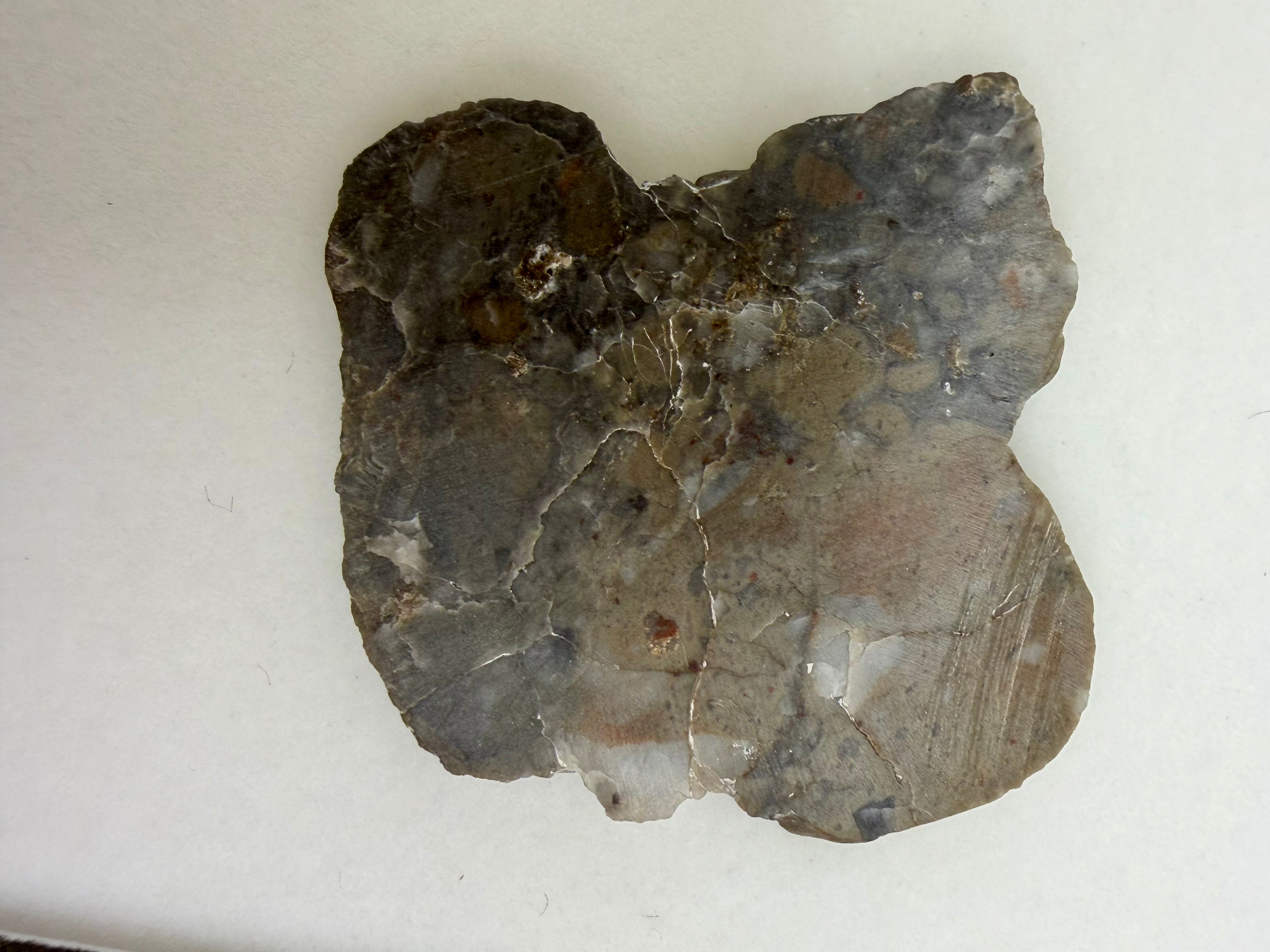 Adrar 013 lunar meteorite 4.29g end cut, polished interior face showing anorthositic melt breccia matrix with clast distribution