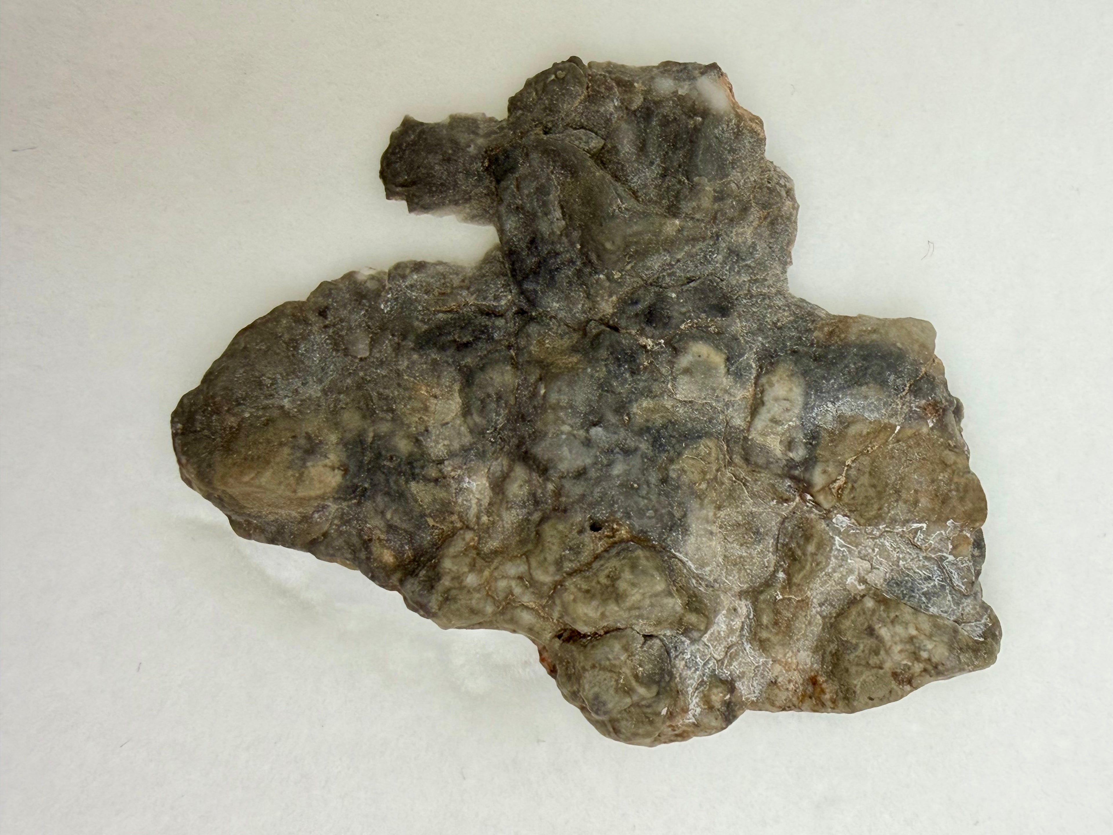 Adrar 013 lunar meteorite 4.39g end cut, natural unpolished exterior face preserving weathered desert surface from Algeria