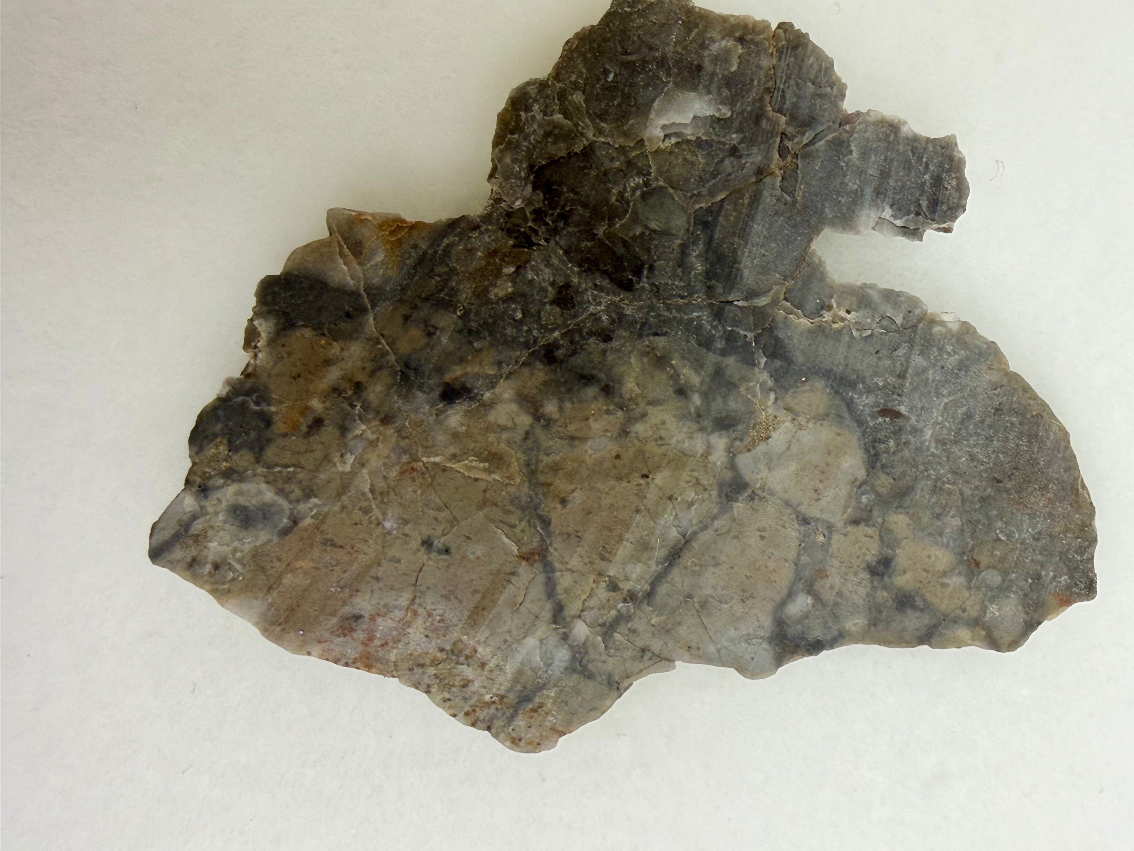 Adrar 013 lunar meteorite 4.39g end cut, polished interior face showing anorthositic melt breccia matrix with mafic mineral phases
