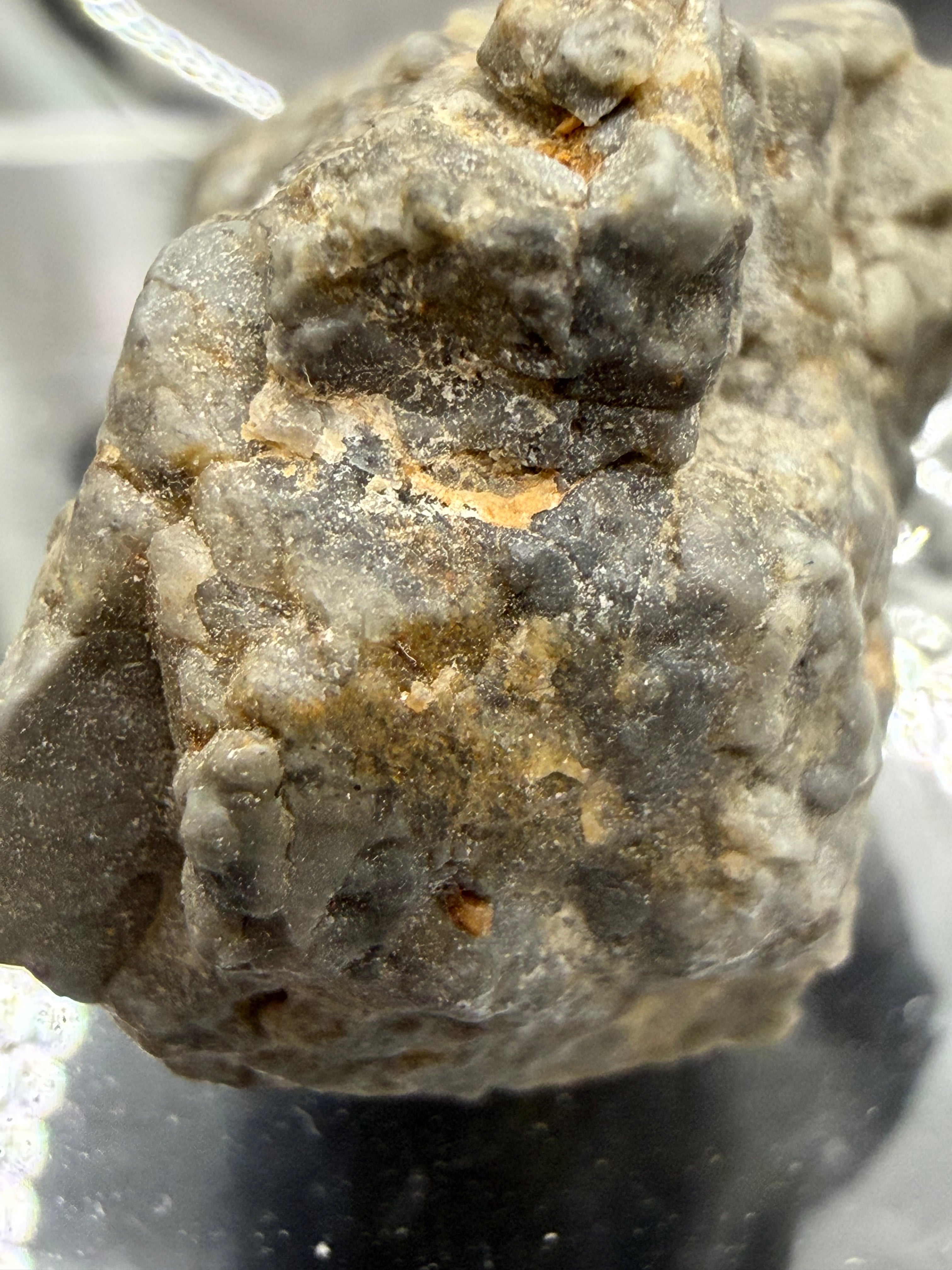 Adrar 013 melt breccia 8.08g macro view showing contrast between dark matrix and light plagioclase rich clasts