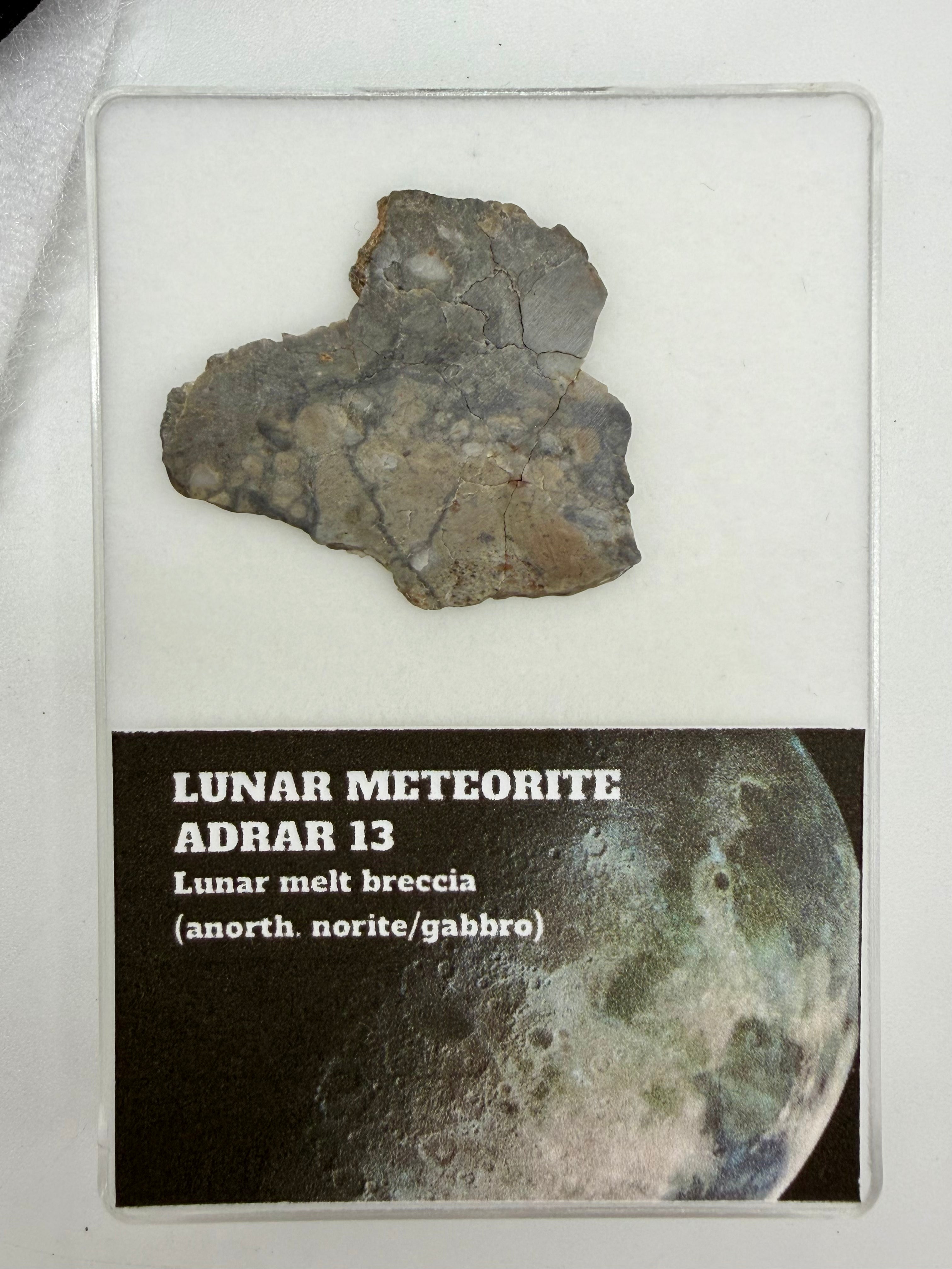 Adrar 013 lunar meteorite full slice, 3.36g, with display card showing classification