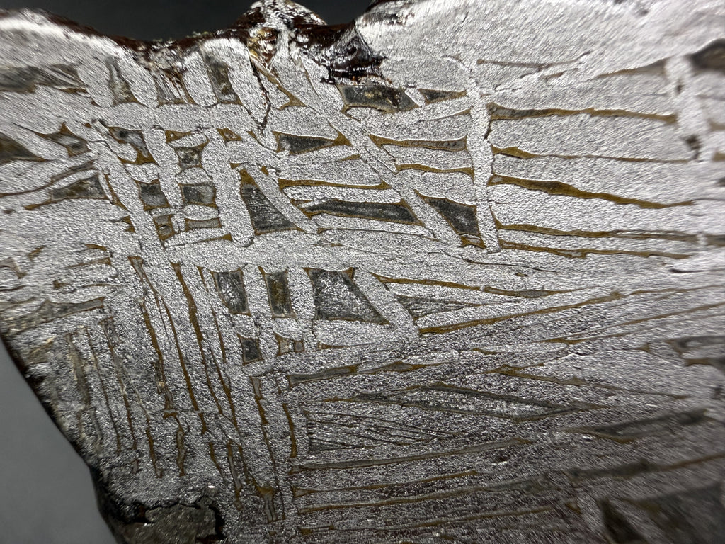 Macro of the Aletai iron meteorite etched face with oxidation along the exterior edge