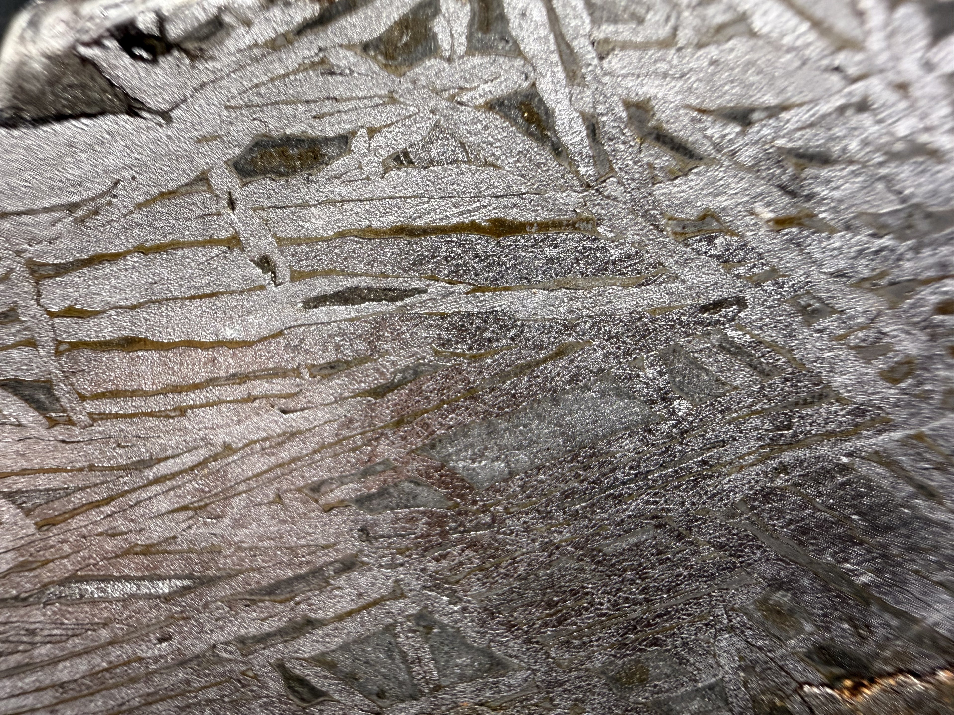 Macro of the Aletai iron meteorite etched face, a seam crossing the Widmanstatten bands