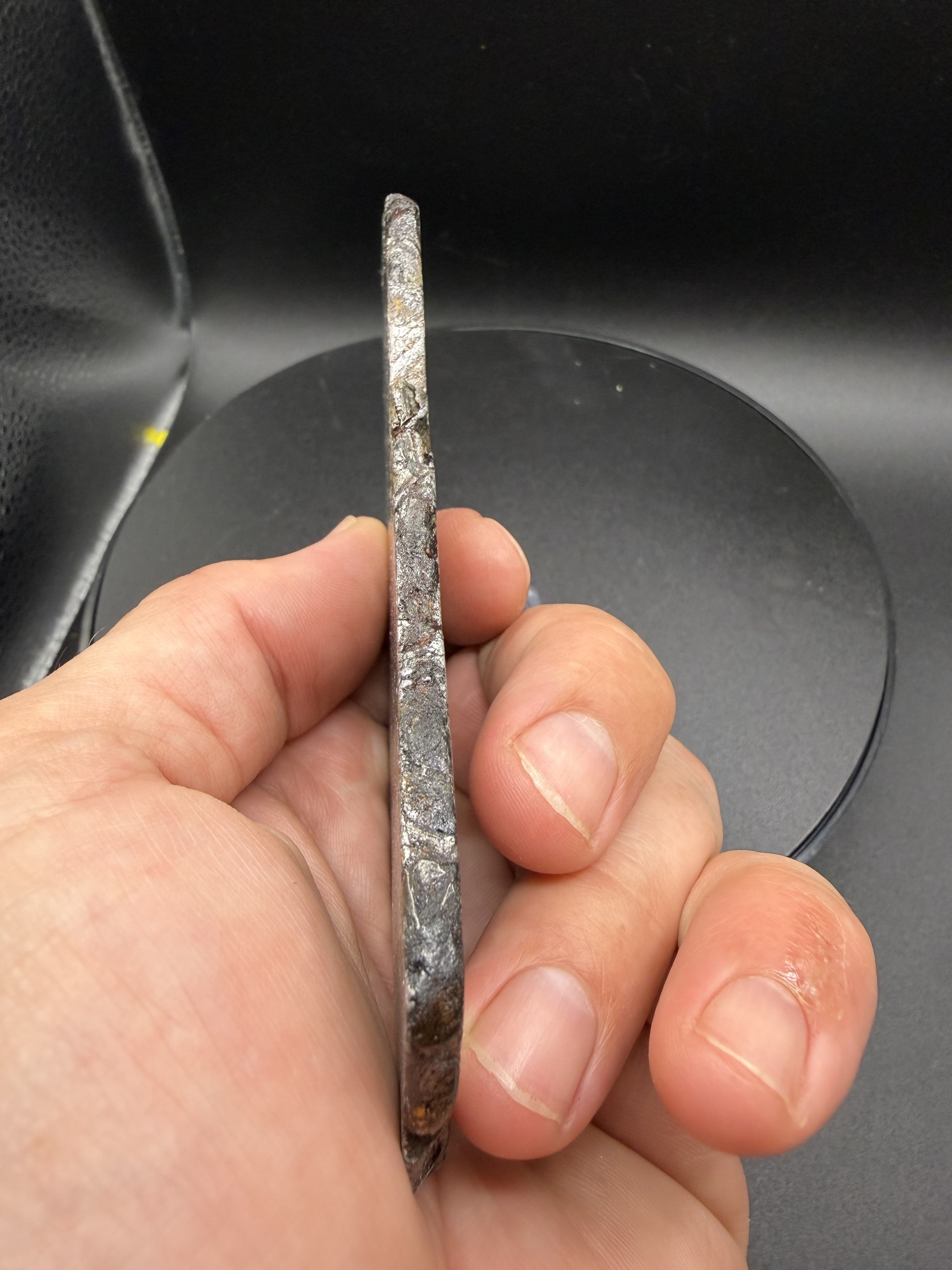 Edge profile of the 161.49g Aletai iron meteorite slice, showing thickness and natural exterior surface