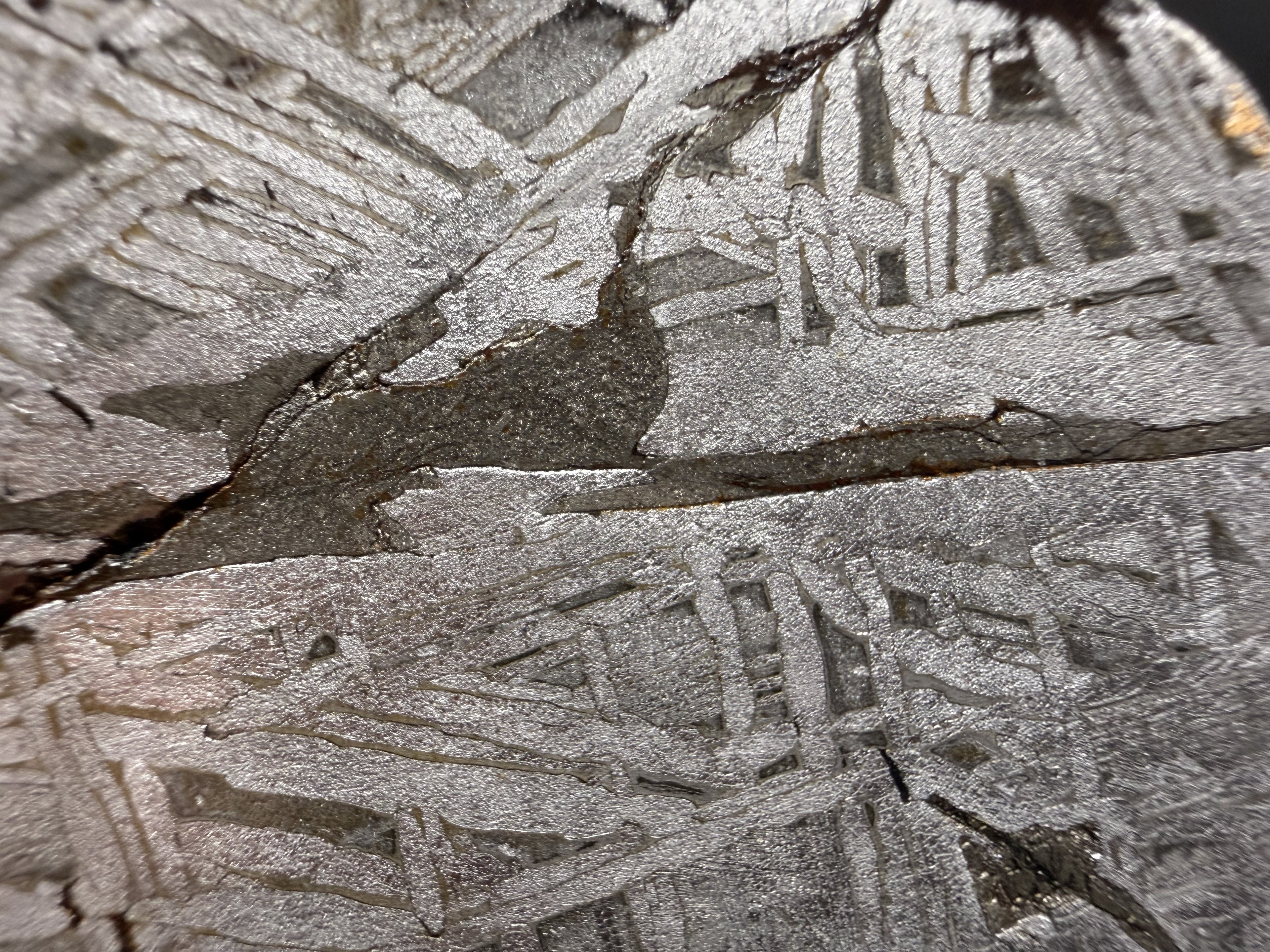 Macro of the Aletai iron meteorite etched face, Widmanstatten pattern crossed by a dark fracture