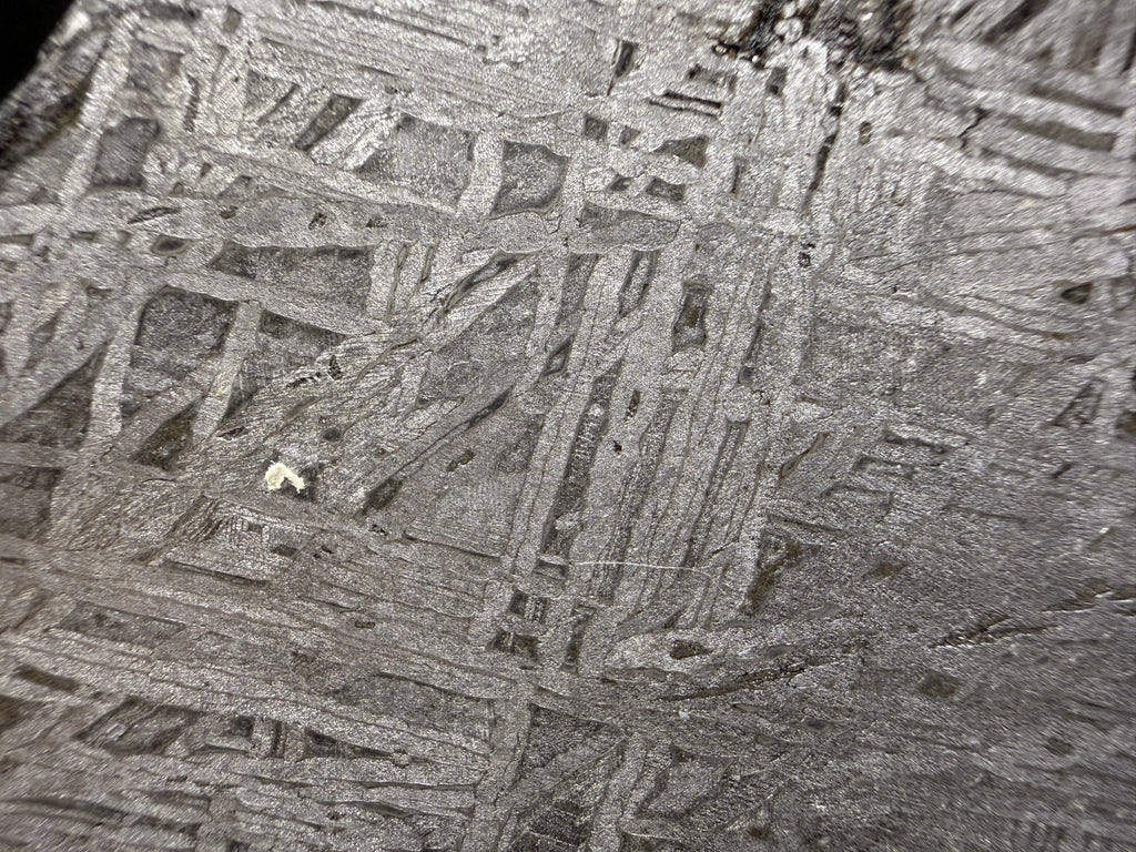 Macro of the Aletai iron meteorite etched face, crosshatched Widmanstatten bands