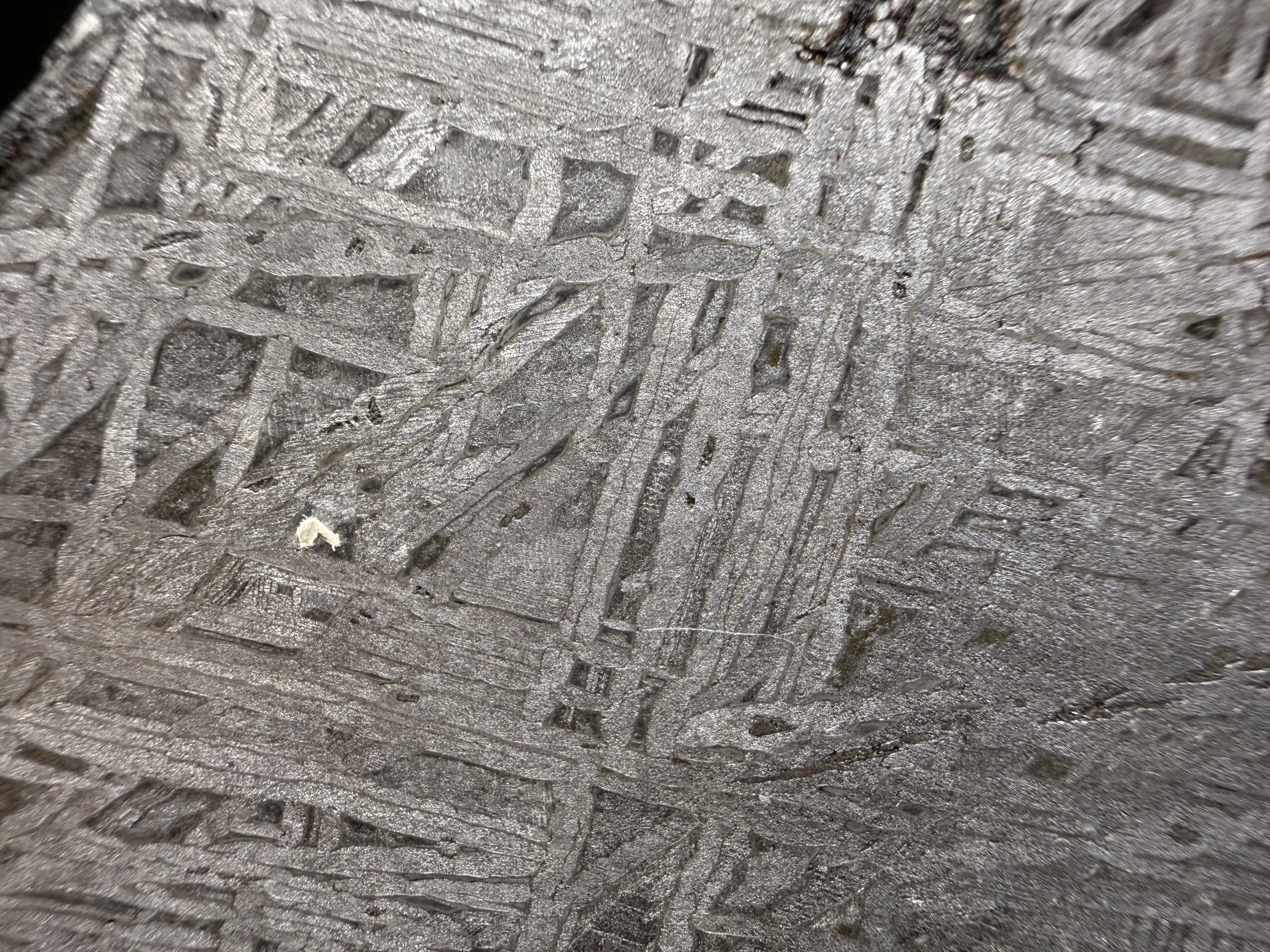 Macro of the Aletai iron meteorite etched face, crosshatched Widmanstatten bands