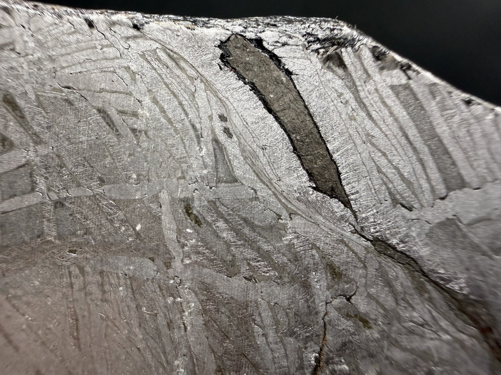 Macro of the Aletai iron meteorite, an elongated dark inclusion set within the etched Widmanstatten pattern