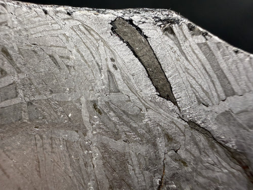Macro of the Aletai iron meteorite, an elongated dark inclusion set within the etched Widmanstatten pattern