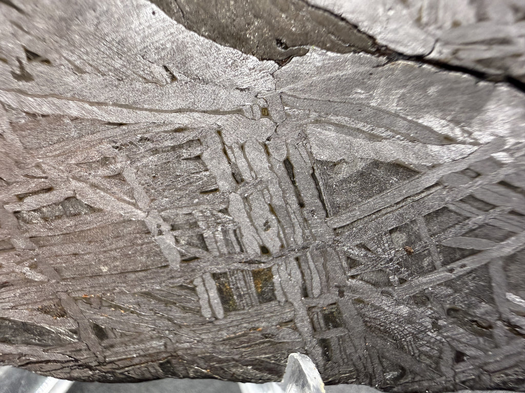 Macro of Aletai iron meteorite, Widmanstatten pattern with sulfide inclusion