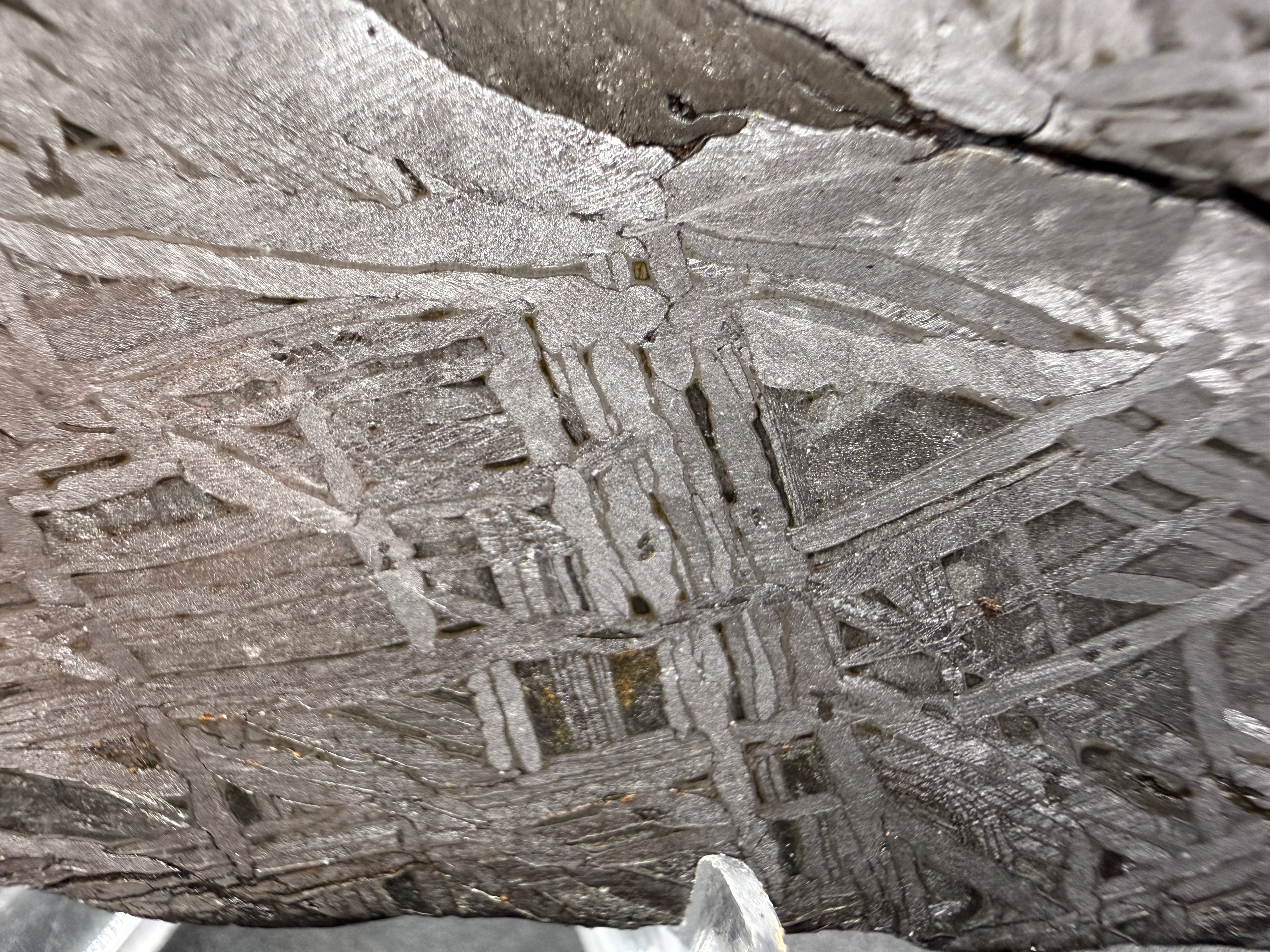 Macro of Aletai iron meteorite, Widmanstatten pattern with sulfide inclusion