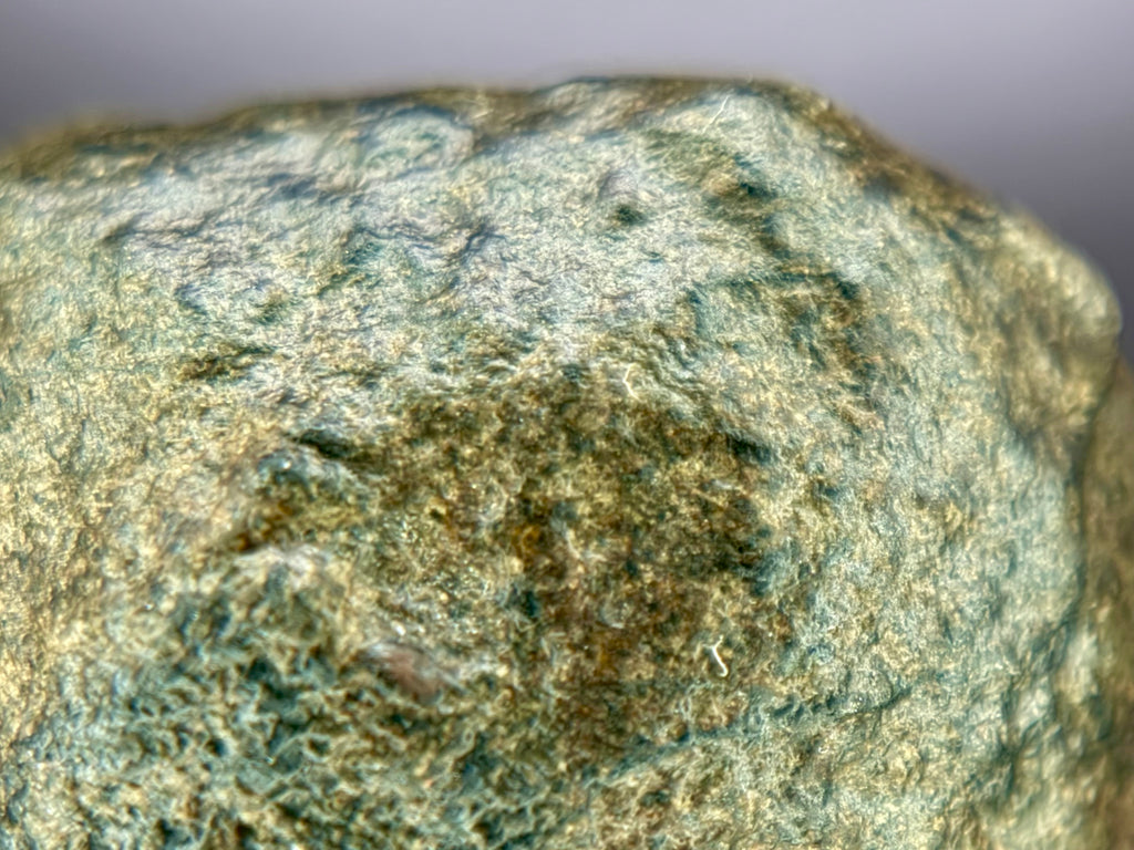 Amgala 001 Martian shergottite, macro view of weathered exterior surface showing tonal variation across desert patina