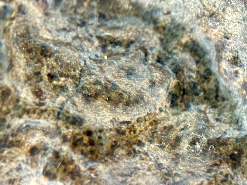 Amgala 001 Martian shergottite, macro view of exterior surface showing fine textural detail and color variation in the sandblasted crust