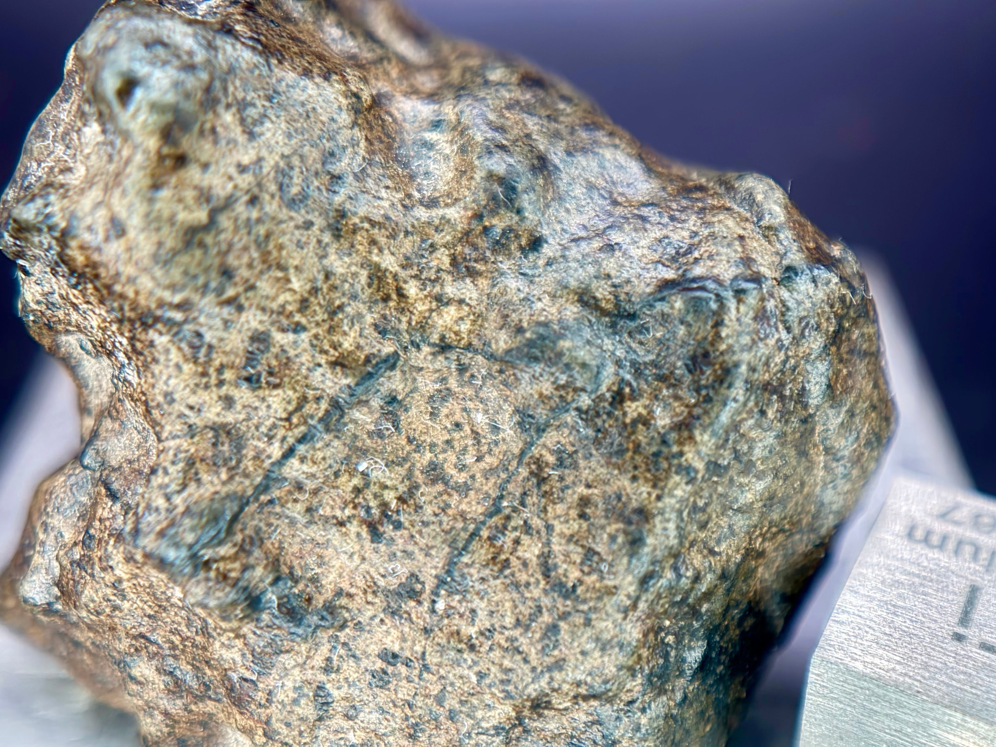 Amgala 001 Martian shergottite overhead detail, showing knobby exterior texture and melt vein characteristic of sandblasted Saharan finds