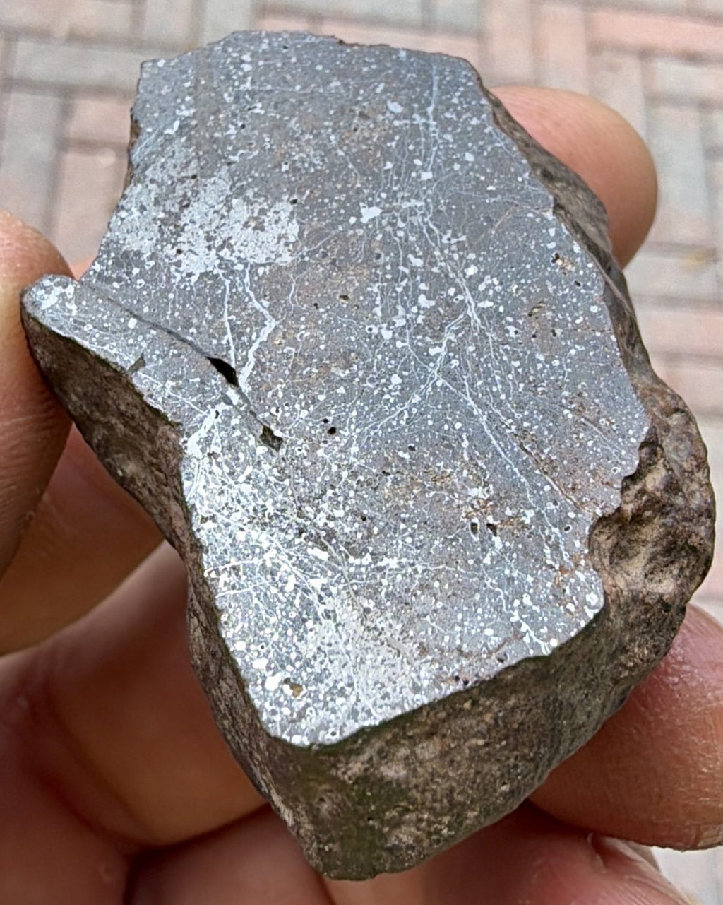 Bir Ounane 001 end cut seen at an angle, the polished face catching the light along a natural break