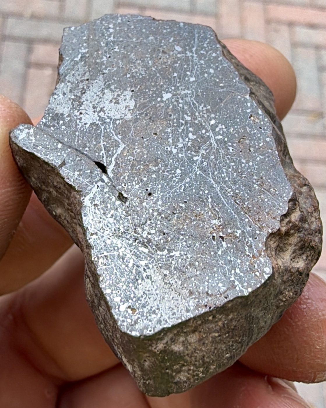 Bir Ounane 001 end cut seen at an angle, the polished face catching the light along a natural break